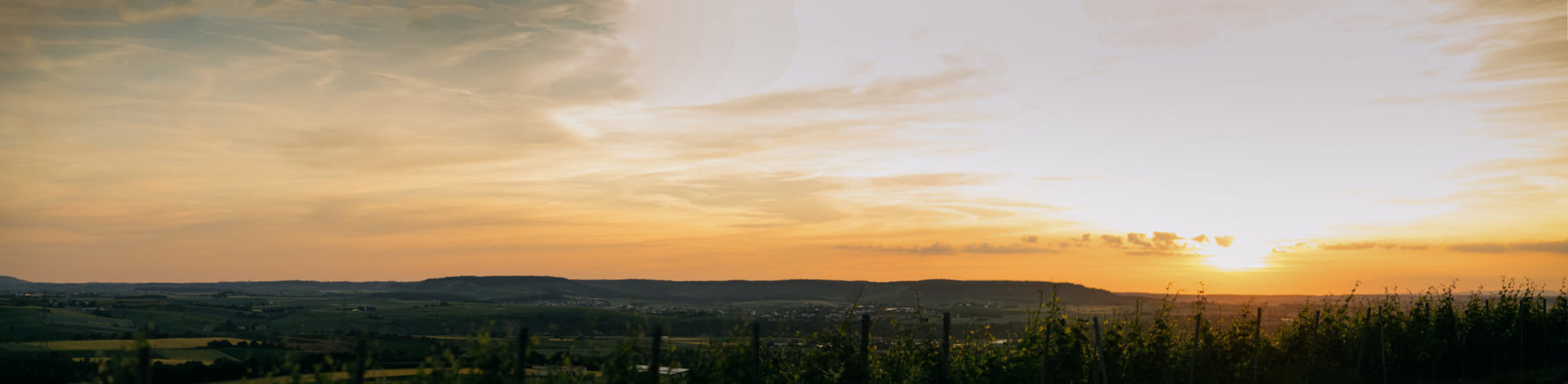 Sommerhochzeit Weingut Kurz Wagner Hochzeitsfotograf-35 Hochzeitsbilder Weingut Kurz Wagner - Hochzeitspaar - Brautshoot Sonnenuntergang Landschaft Romantische Bilder