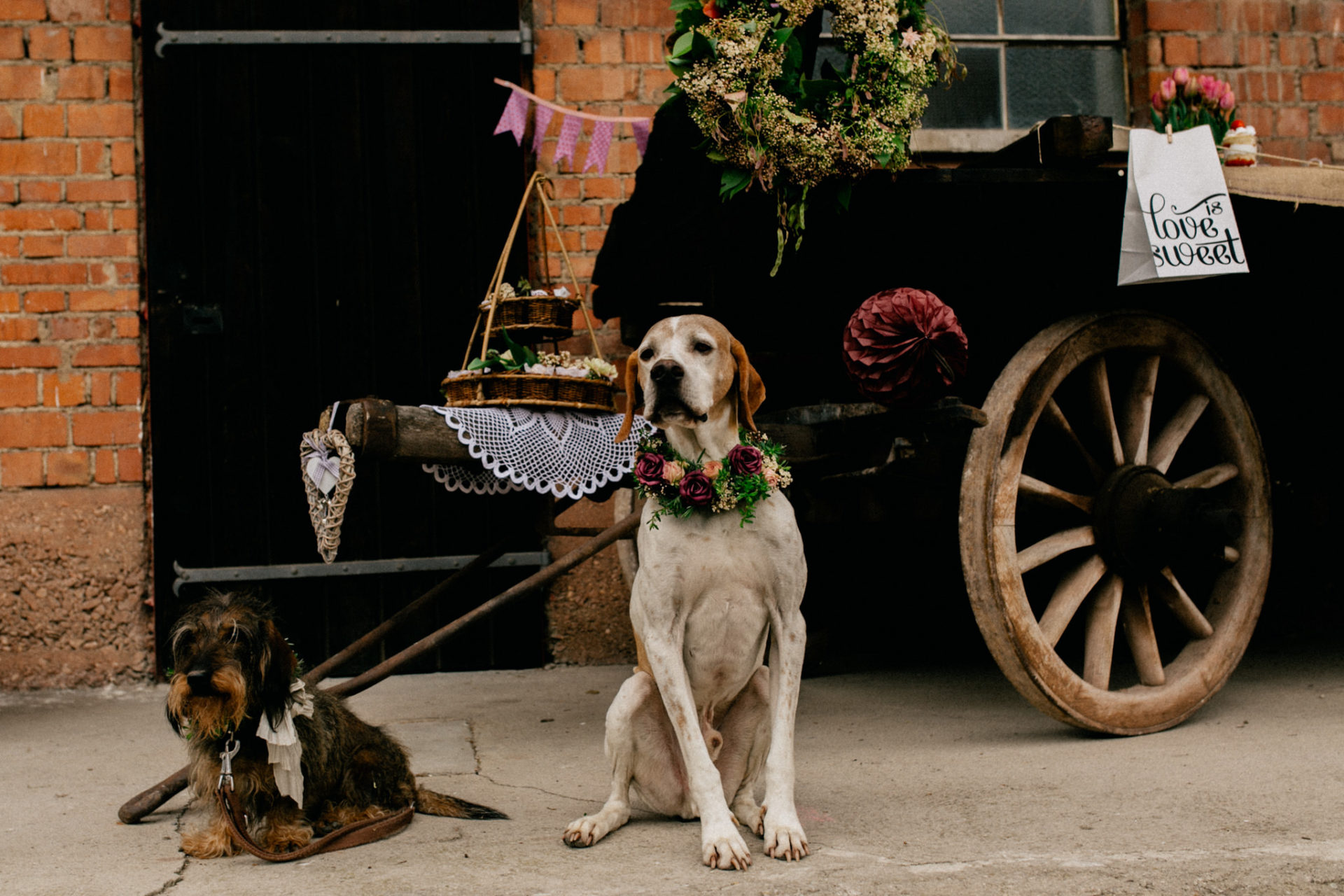 hochzeitsfotograf Steinbachhof Vaihingen Gündelbach-Scheunenhochzeit vintage detailreich-10 Hochzeitsfotografie Steinbachhof Vaihingen Hund Stuttgart Deutschland Hochzeit Dekoration