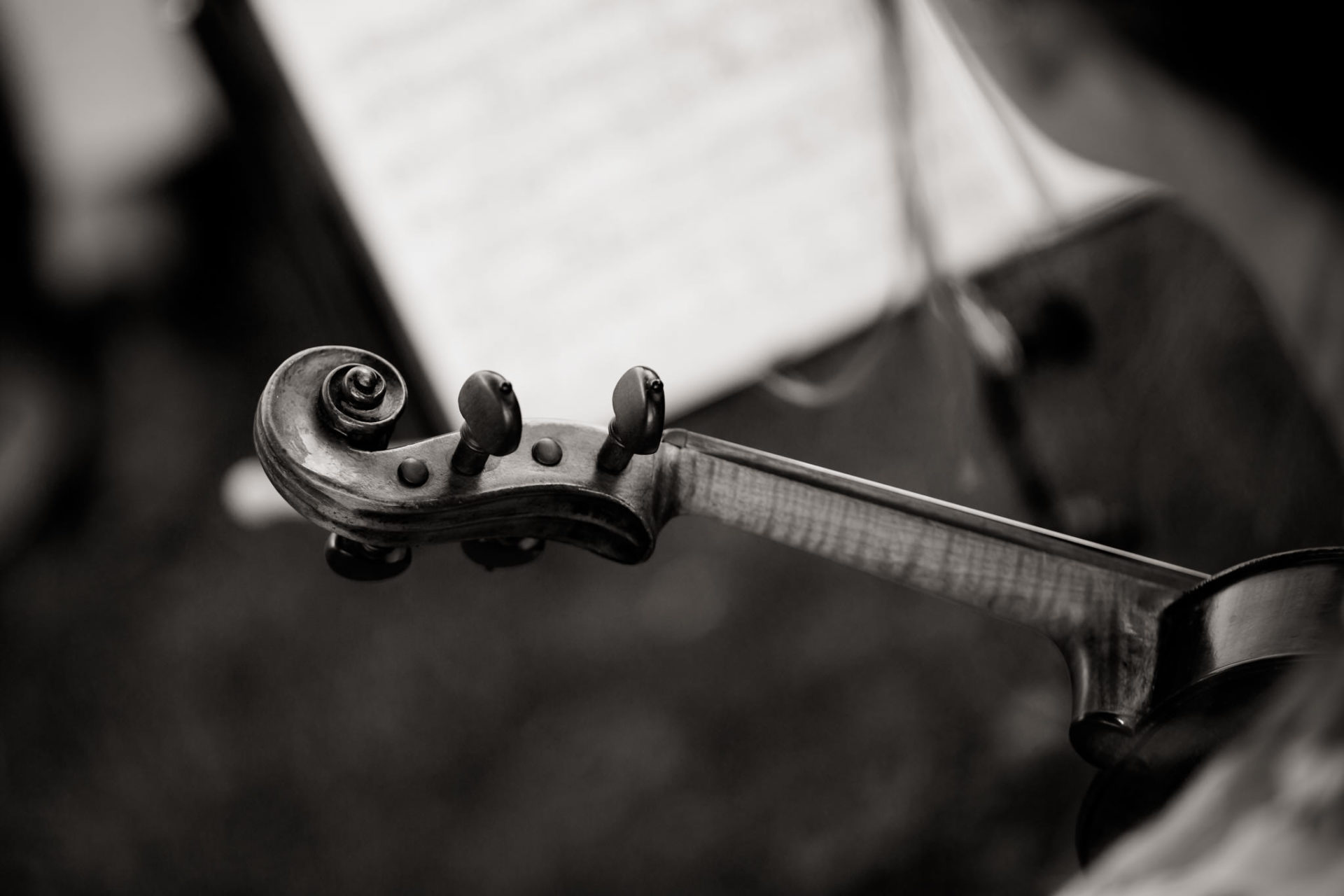 Hochzeitsfotograf Berlin-Haus am Bauernsee Dobbrikov heiraten am See Sommer-21 Freie Trauung Hochzeit Hochzeitsfotografie See Berlin