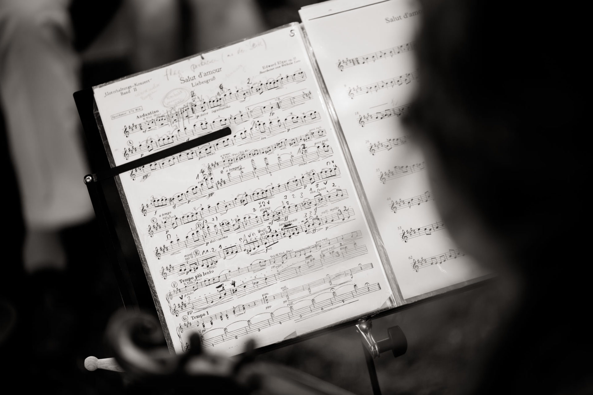 Hochzeitsfotograf Berlin-Haus am Bauernsee Dobbrikov heiraten am See Sommer-22 Freie Trauung Hochzeit Hochzeitsfotografie See Berlin