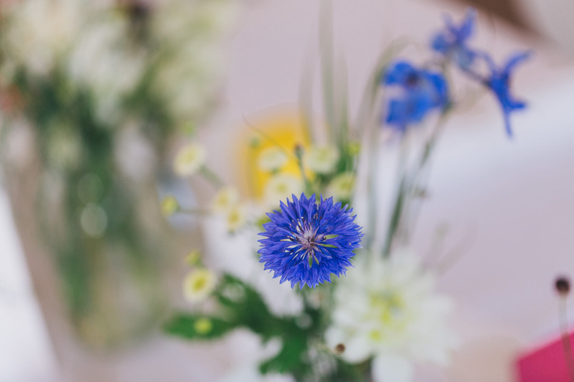 Hochzeitsfotograf Berlin-Haus am Bauernsee Dobbrikov heiraten am See Sommer-32 Emotionale Sommerhochzeit Hochzeitsfotografie Berlin Dobbrikov Blumen