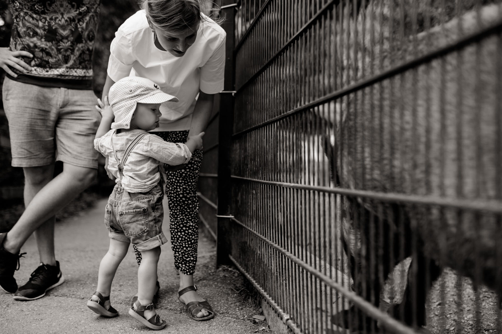 Familienfotograf Bodensee Baden Württemberg Kind Fotoshoot Pfänder Spielplatz Zoo