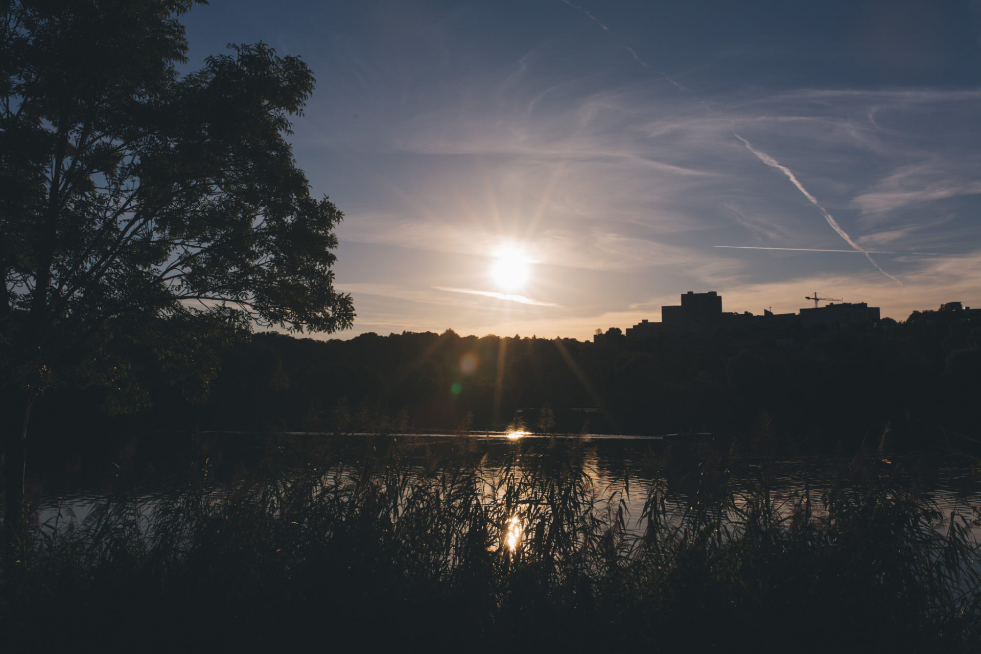 Hochzeitsfotograf Stuttgart Verlobungs shoot Max Eyth see paarfotografie romantisch Portrait