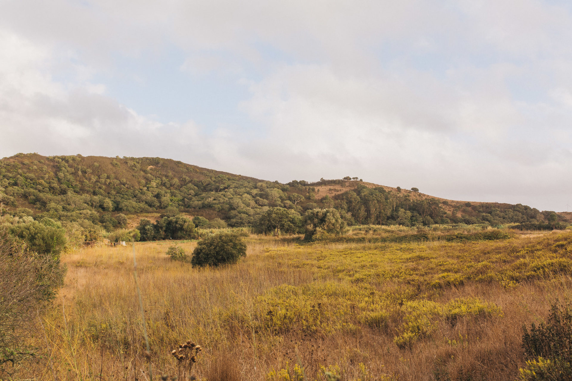 Aldeia da Pedralva Portugal-Hochzeitsfotograf Portugal-romantisches Dorf Algarve