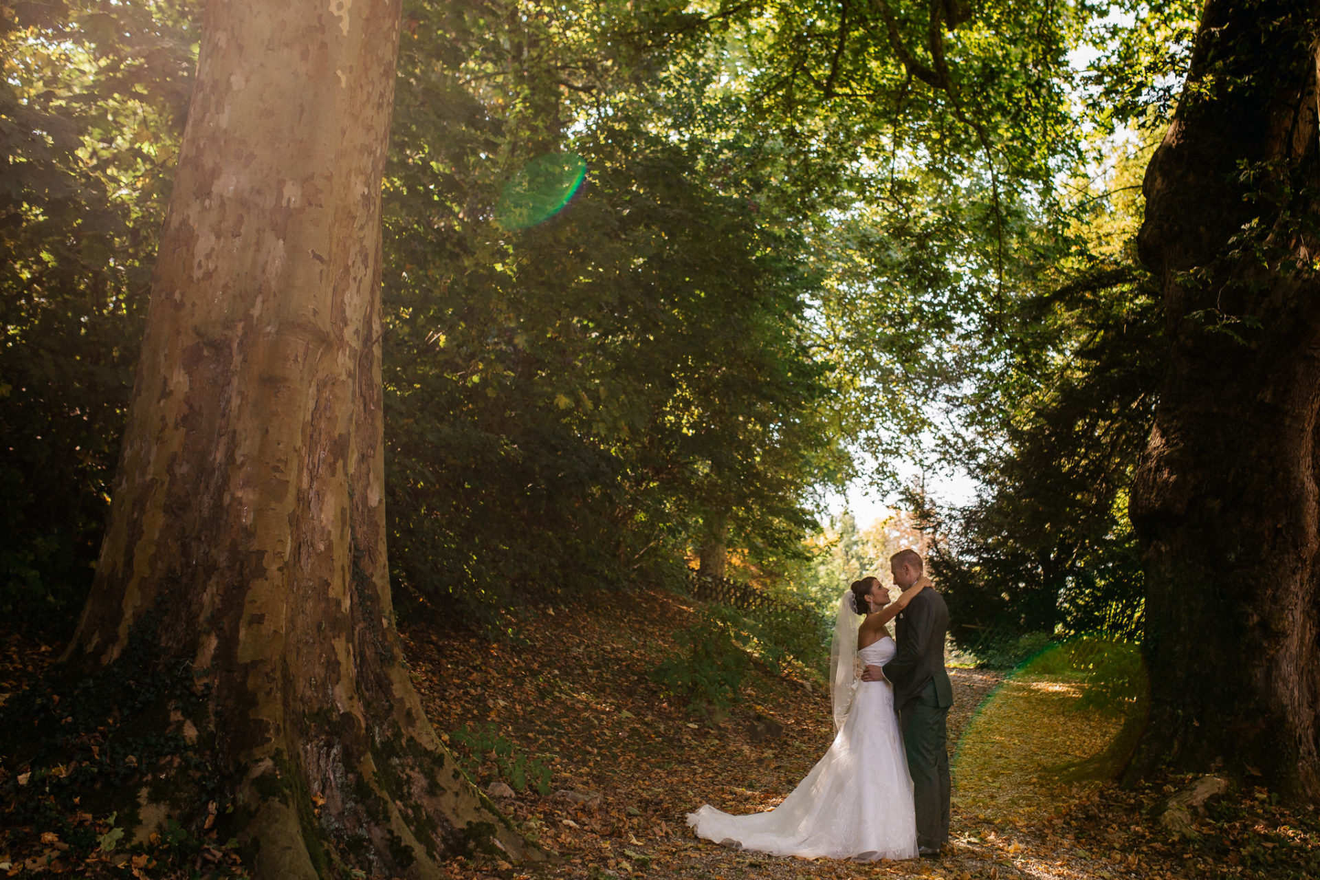 Hochzeitsfotograf Stuttgart Ludwigsburg Weingut Adelmann Rosengarten Hochzeit im Herbst Portrait