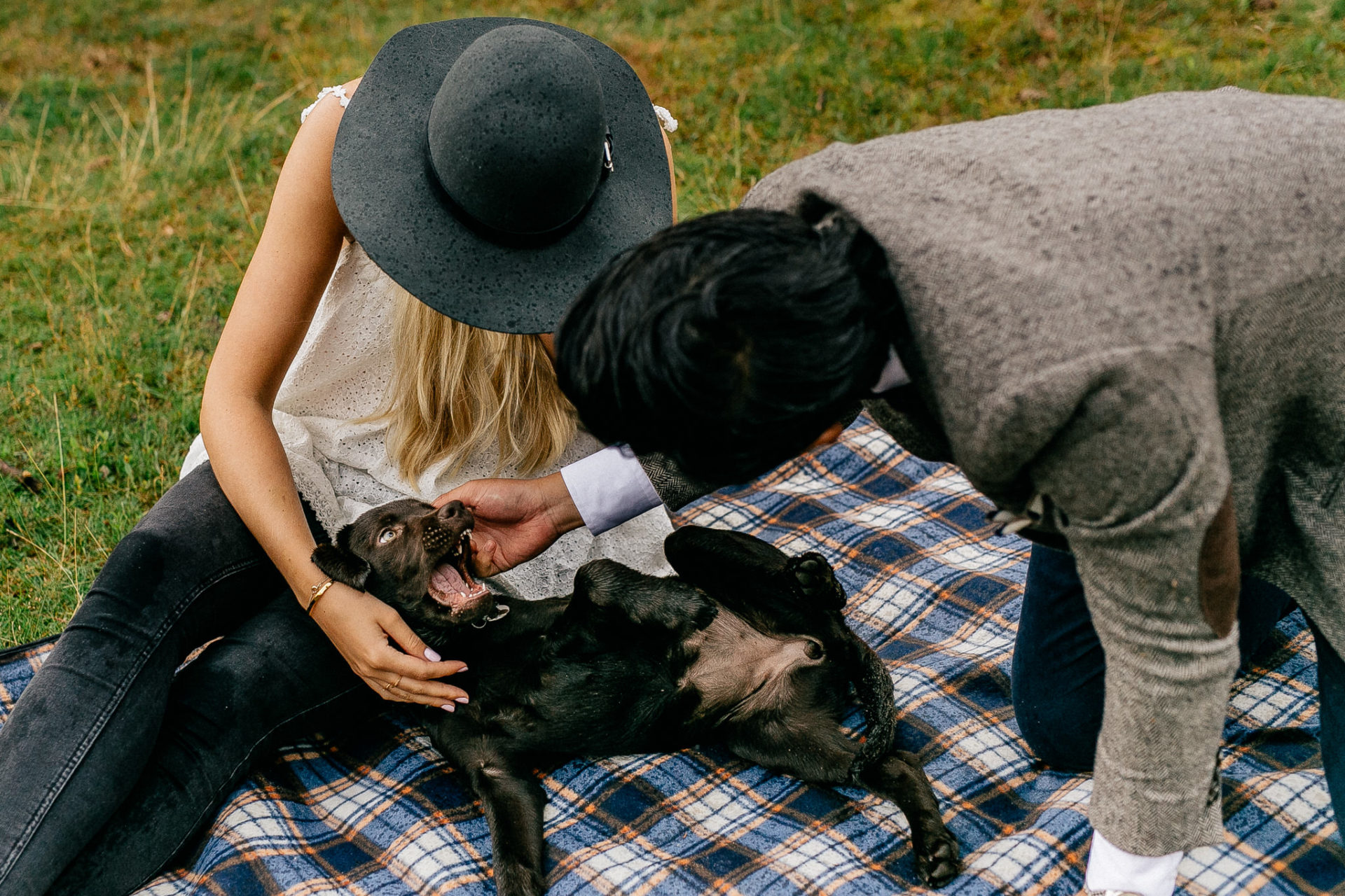 Lüneburger Heide Buchholz Paarshooting-hochzeitsfotograf HH-35 In Love Session Hamburg mit Hund Labrador Welpe