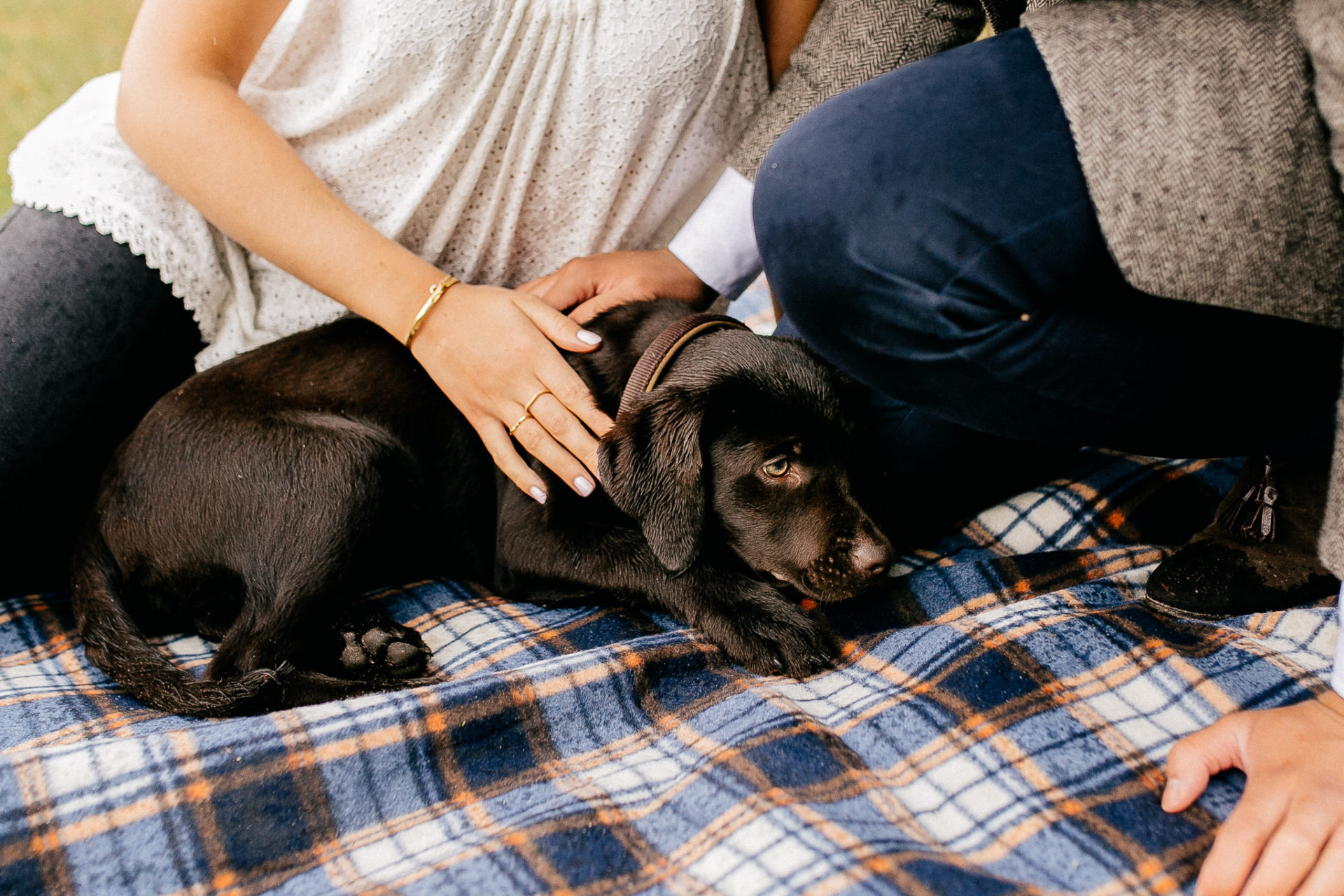 Lüneburger Heide Buchholz Paarshooting-hochzeitsfotograf HH-37 In Love Session Hamburg mit Hund Labrador Welpe