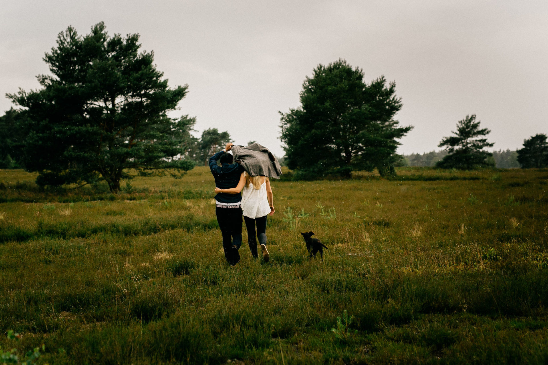 Lüneburger Heide Buchholz Paarshooting-hochzeitsfotograf HH-7 Verlobungsshoot mit Hund Labrador Welpe Portraitfotografie Lüneburger Heide