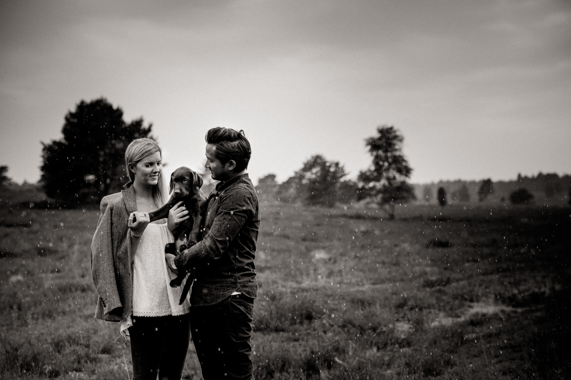 Lüneburger Heide Buchholz Paarshooting-hochzeitsfotograf HH-8 Verlobungsshoot mit Hund Labrador Welpe Portraitfotografie Lüneburger Heide
