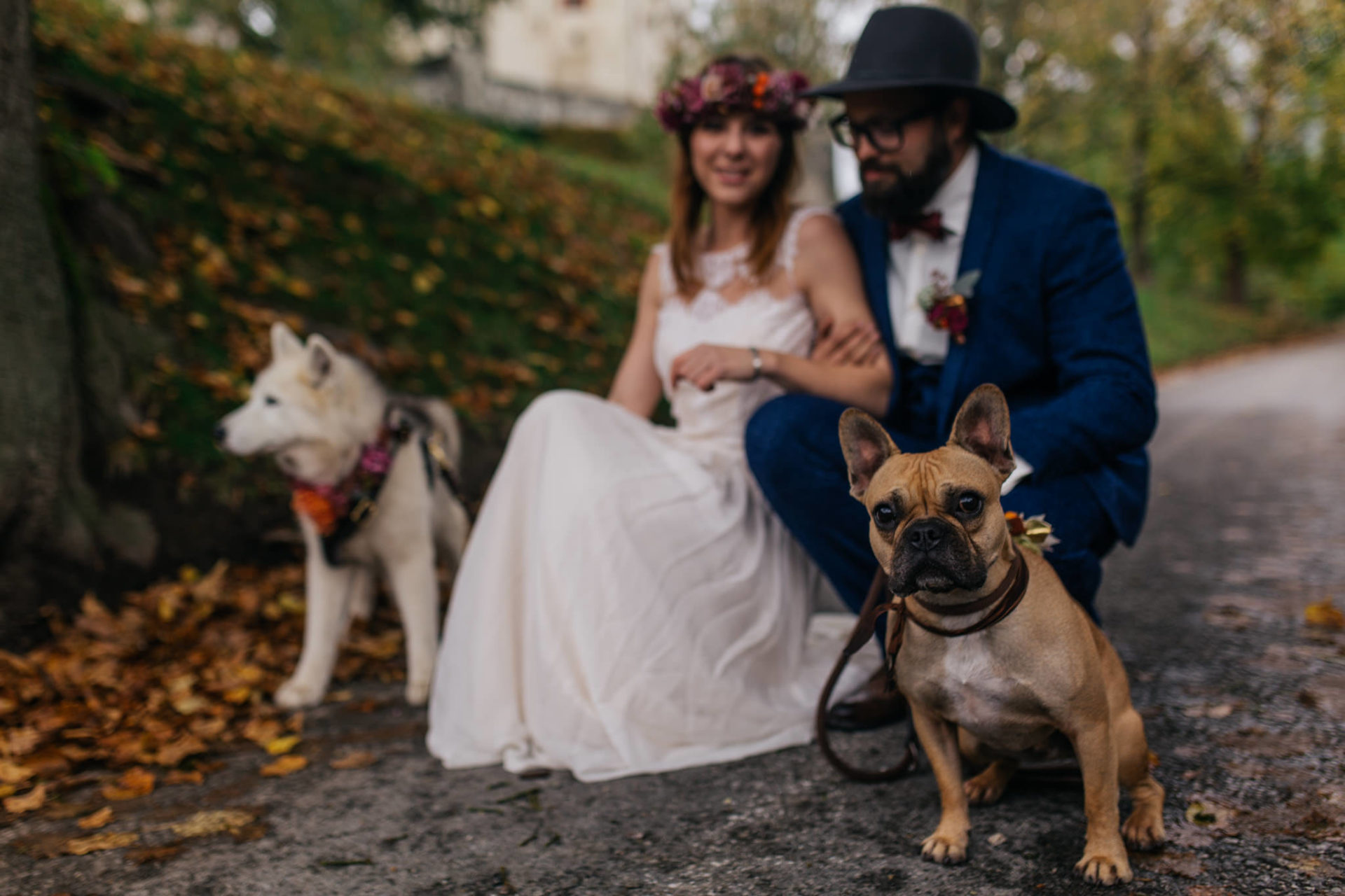 heiraten mit Hund-hundefreundschaft-französische Bulldogge als Ringträger-Umgestellte Hochzeitsbilder