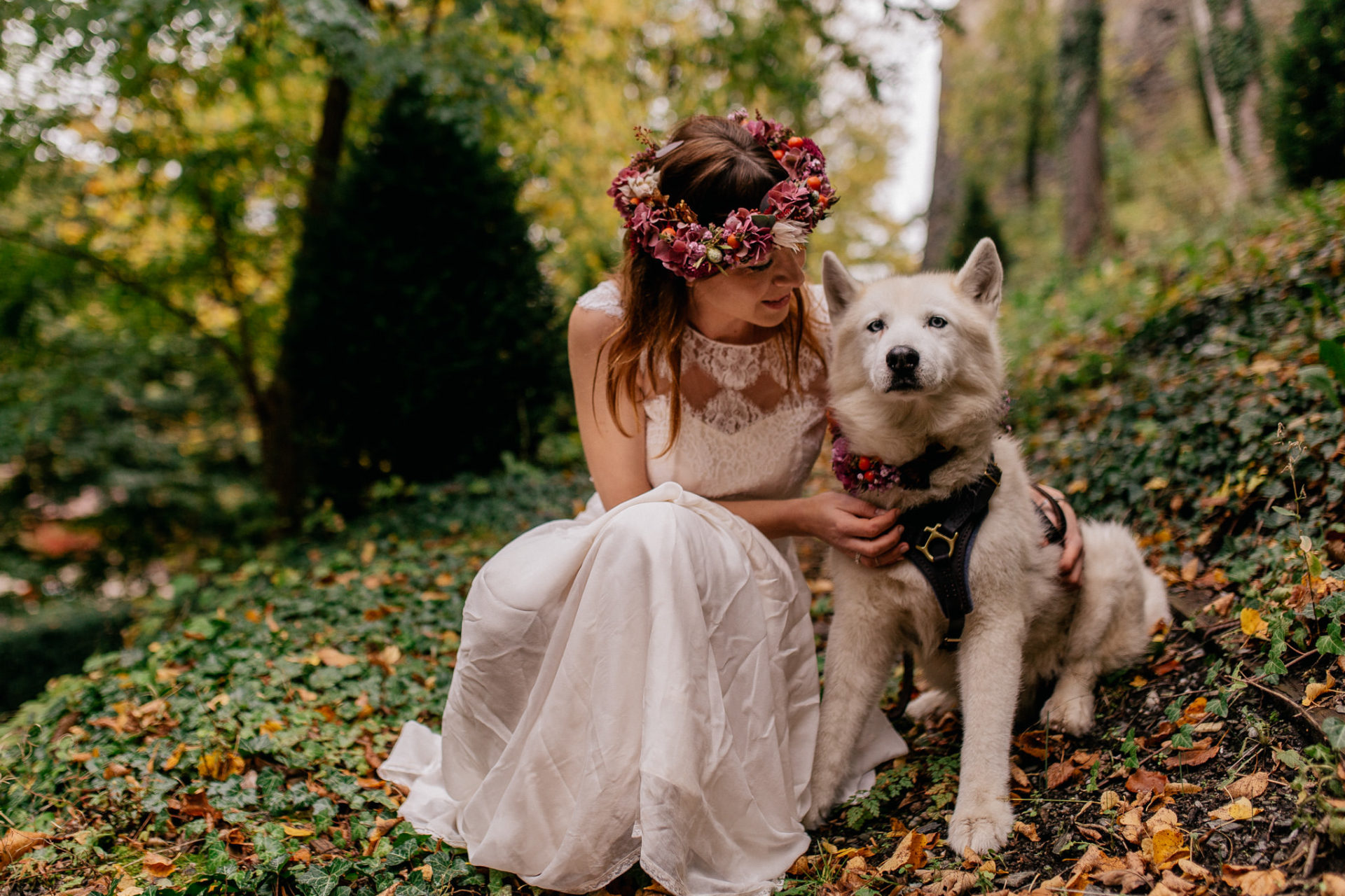 romantische herbsthochzeit burg Friedberg tirol-innsbruck hochzeitsfotograf-heiraten mit Hund
