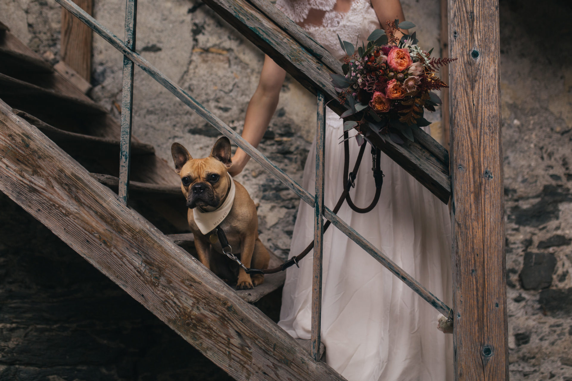 heiraten mit Hund-french bulldog ringträger-bohemian chic Brautkleid-tirol burg hochzeit