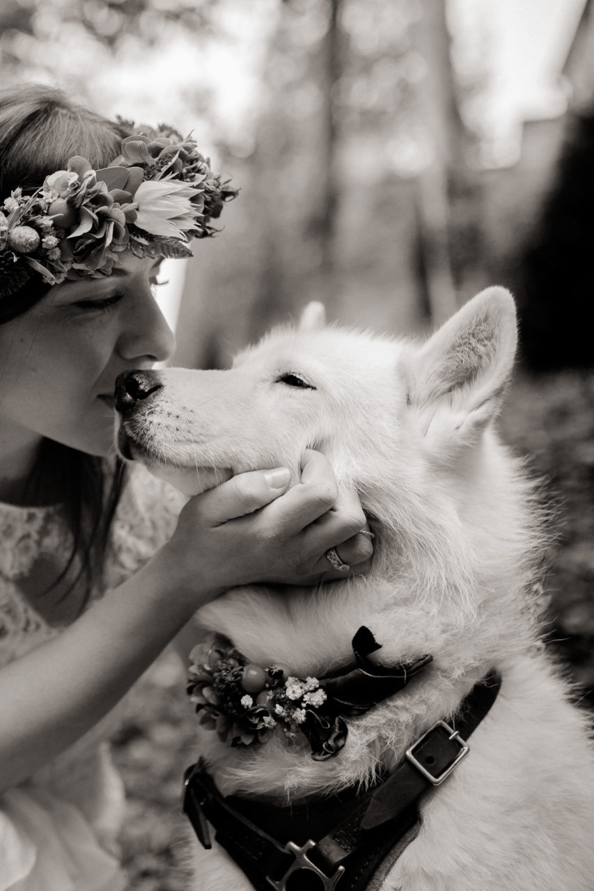 romantische herbsthochzeit burg Friedberg tirol-innsbruck hochzeitsfotograf-heiraten mit Hund