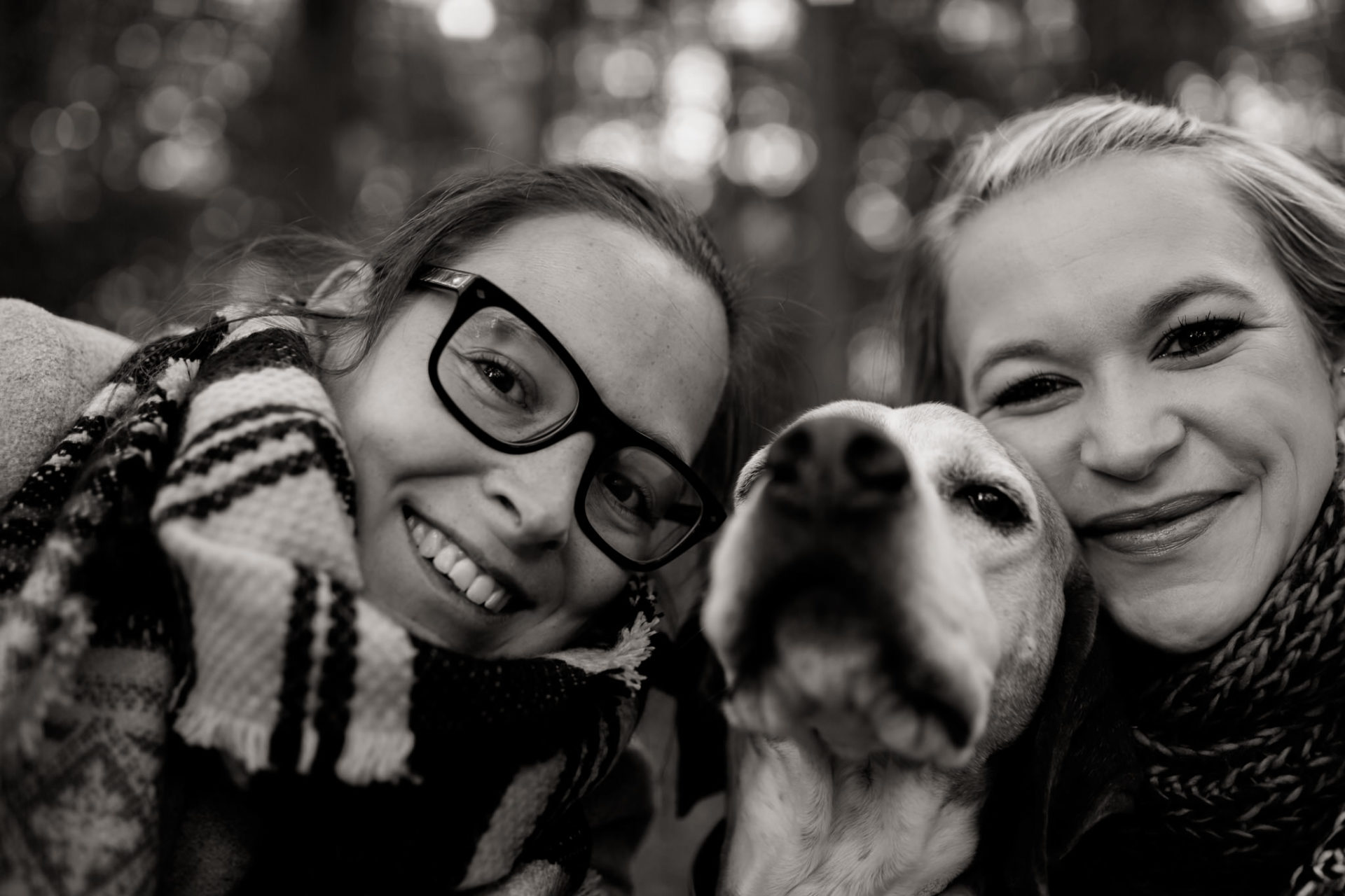 Hochzeitsfotograf Koblenz Mayen Bundeswehr Wald-4 hochzeitsfotograf Koblenz-heiraten mit Hund-Mayen waldhochzeit