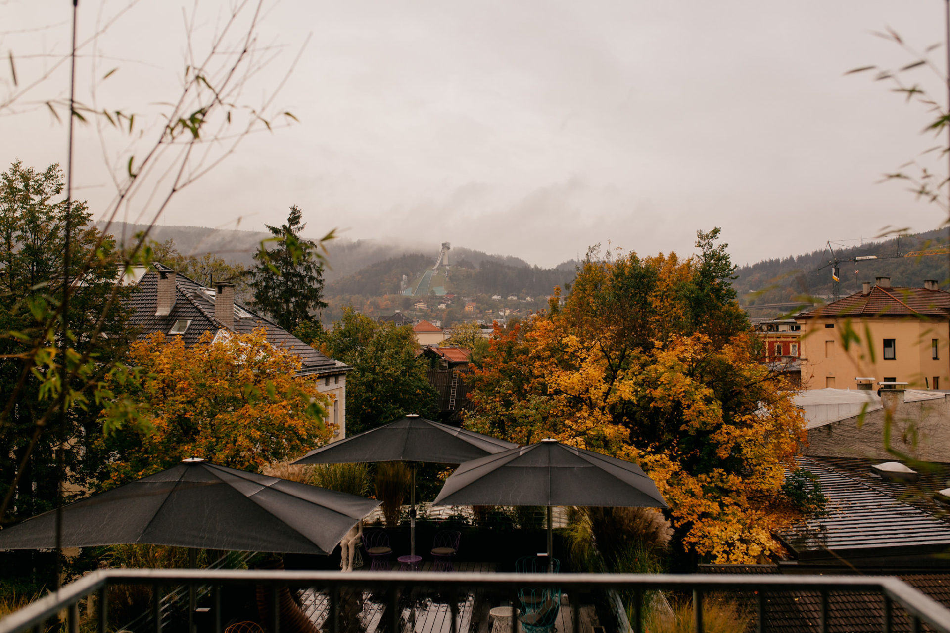 Urlaub mit Hund Innsbruck Hotel Nala Tierfotografie English Pointer Berge