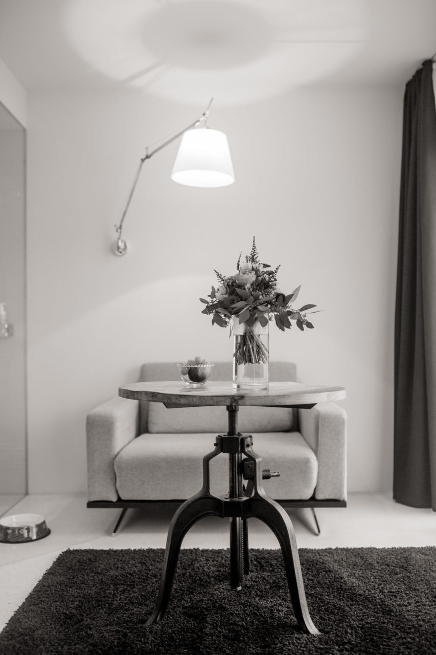 Urlaub mit Hund Innsbruck Hotel Nala Tierfotografie English Pointer Berge Hoteltipi Österreich