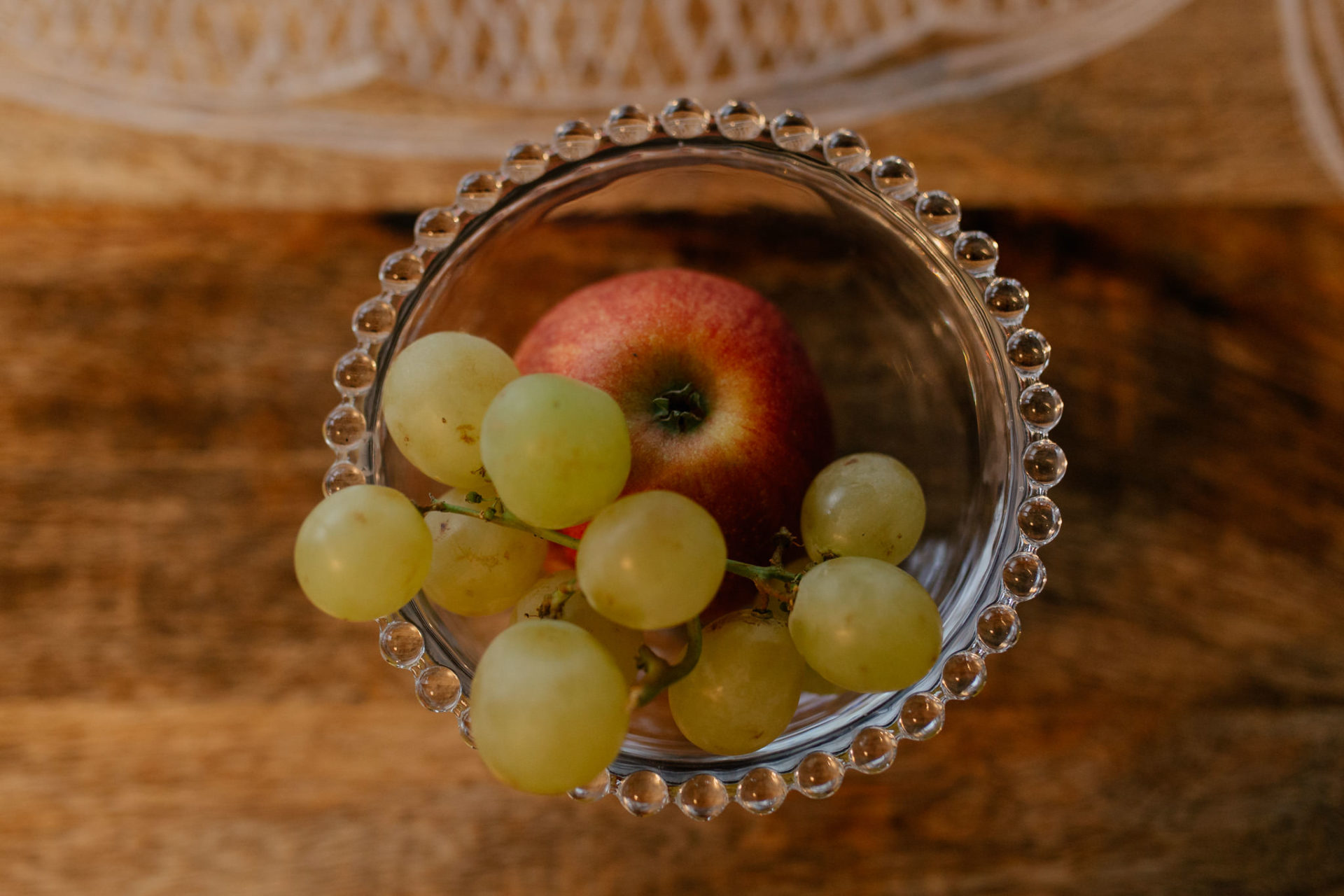 Urlaub mit Hund Innsbruck Hotel Nala Tierfotografie English Pointer Berge Hoteltipi Österreich