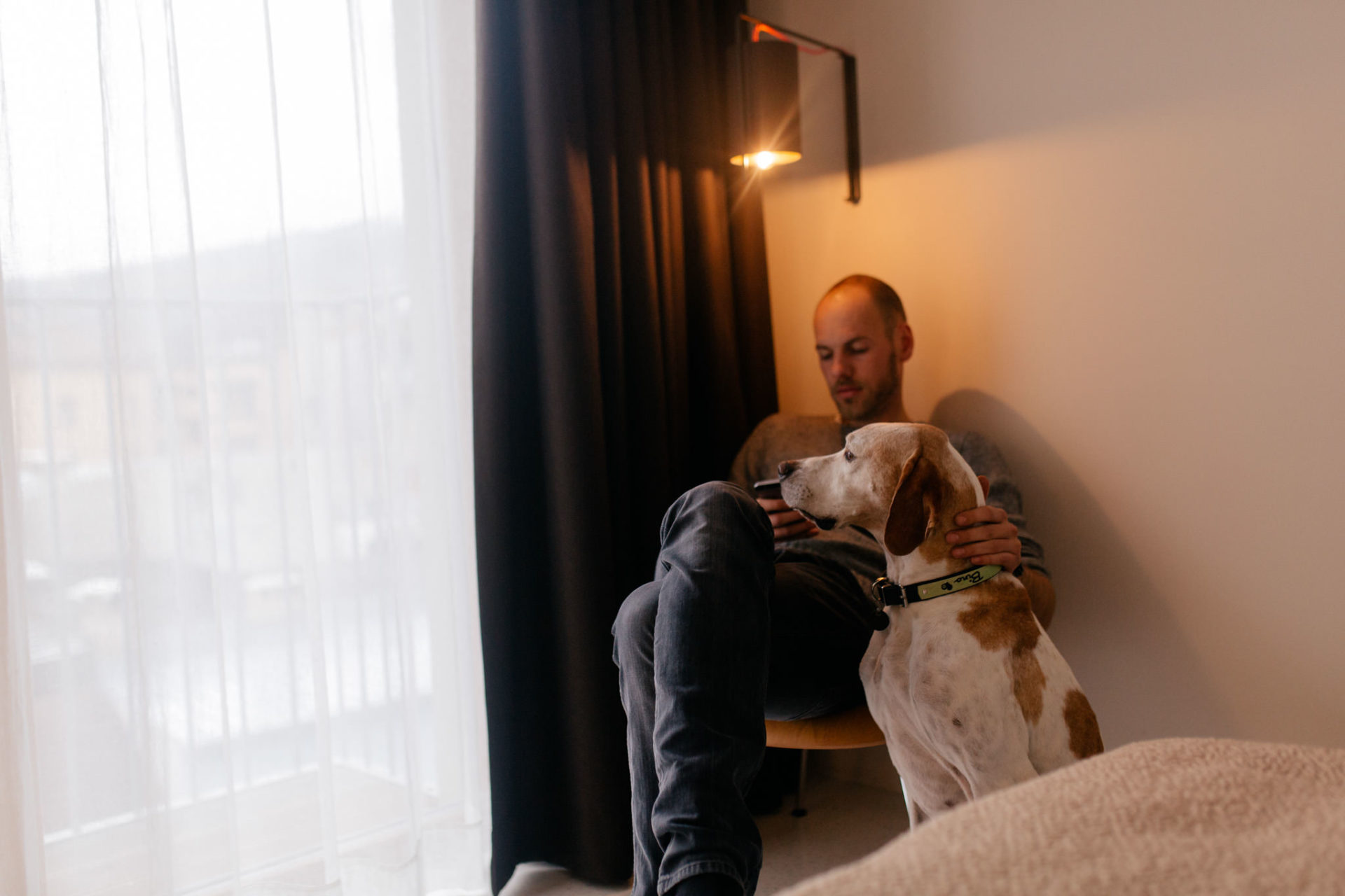 Urlaub mit Hund Innsbruck Hotel Nala Tierfotografie English Pointer Berge Hoteltipi Österreich