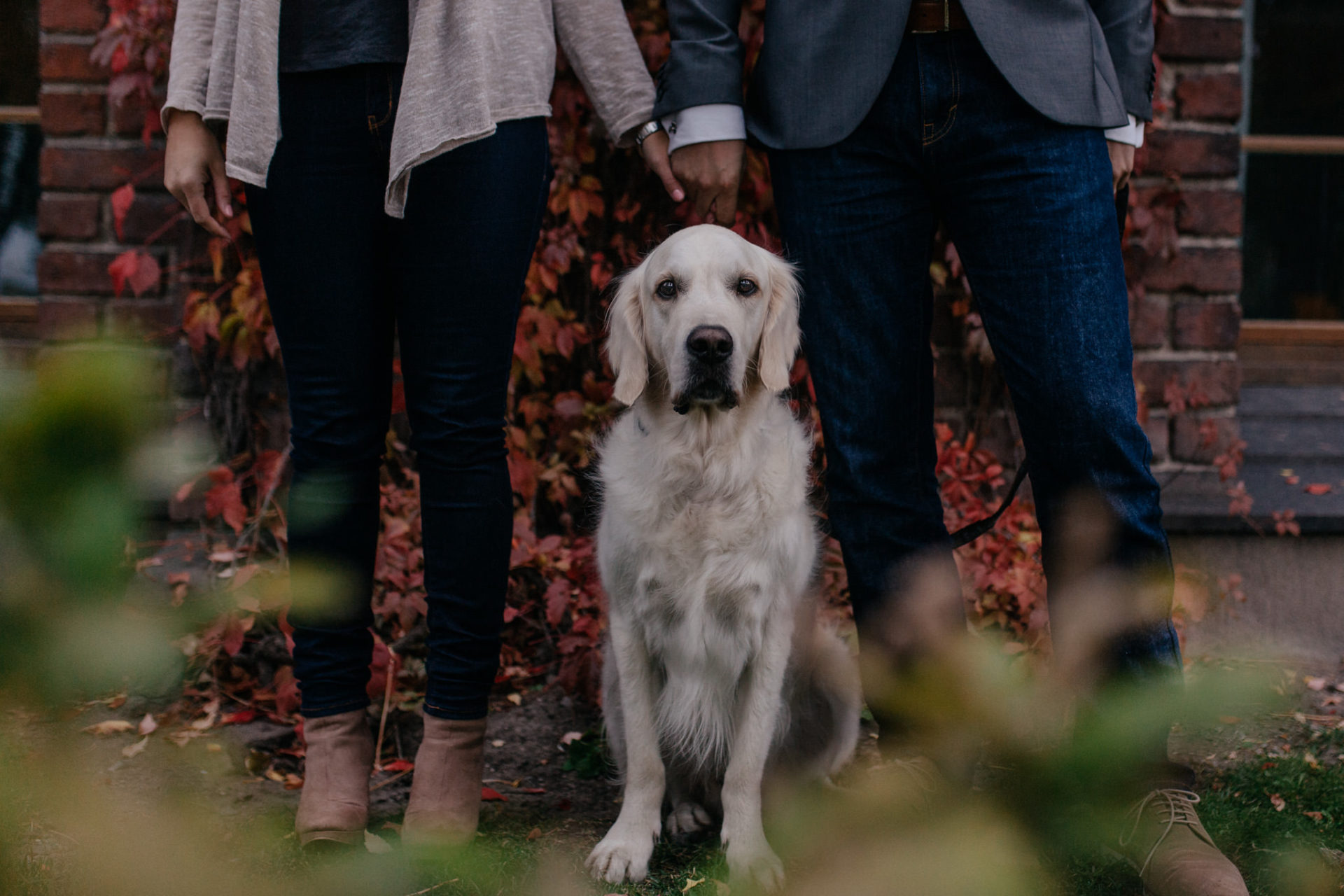 portrait mit Hund-Hochzeitsfotograf stuttgart-verlobungsshooting mit Hund-Golden Retriever Portrait