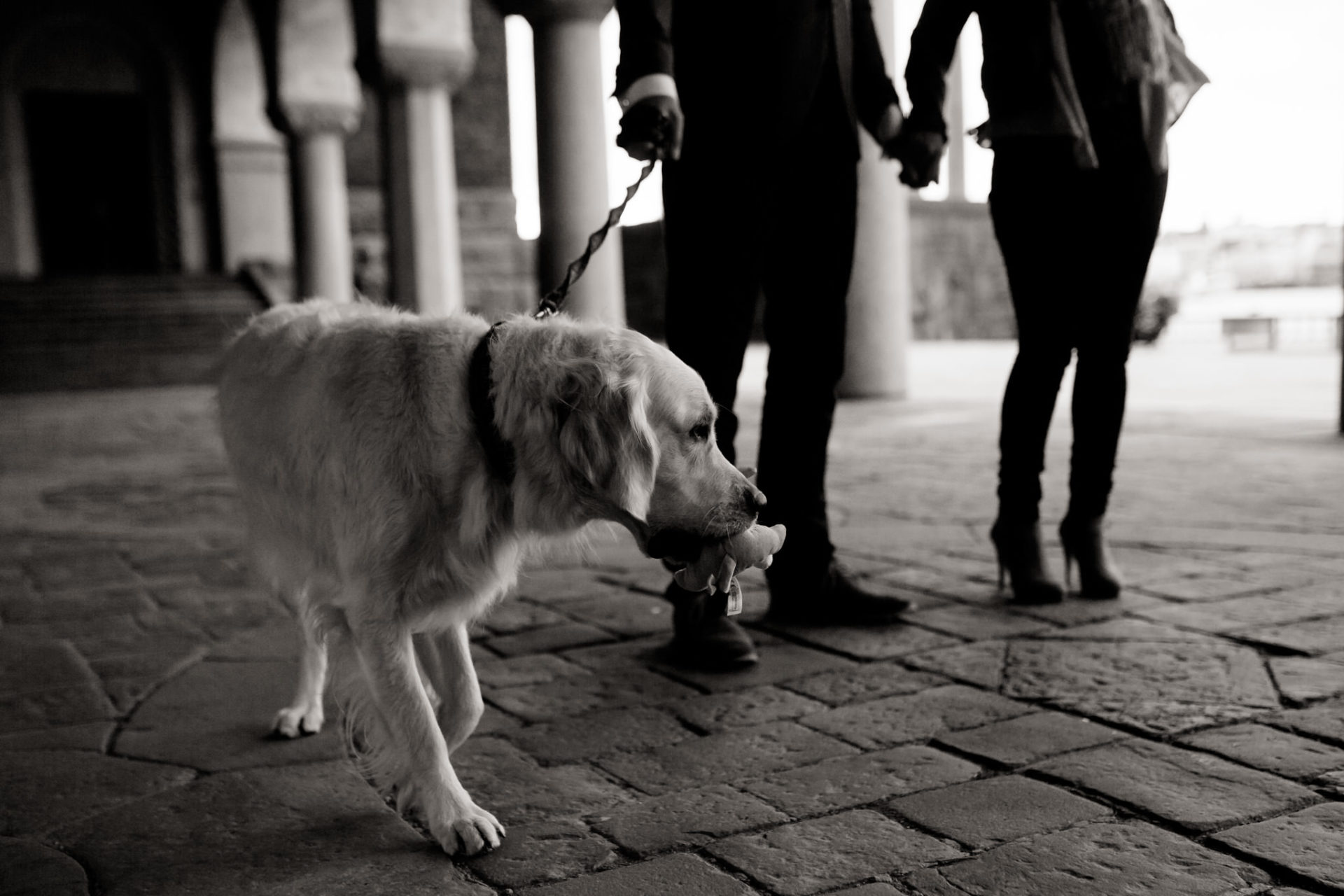 verlobungsbilder mit hund-hundeliebhaber-hundefotograf stuttgart-frauchens Liebling
