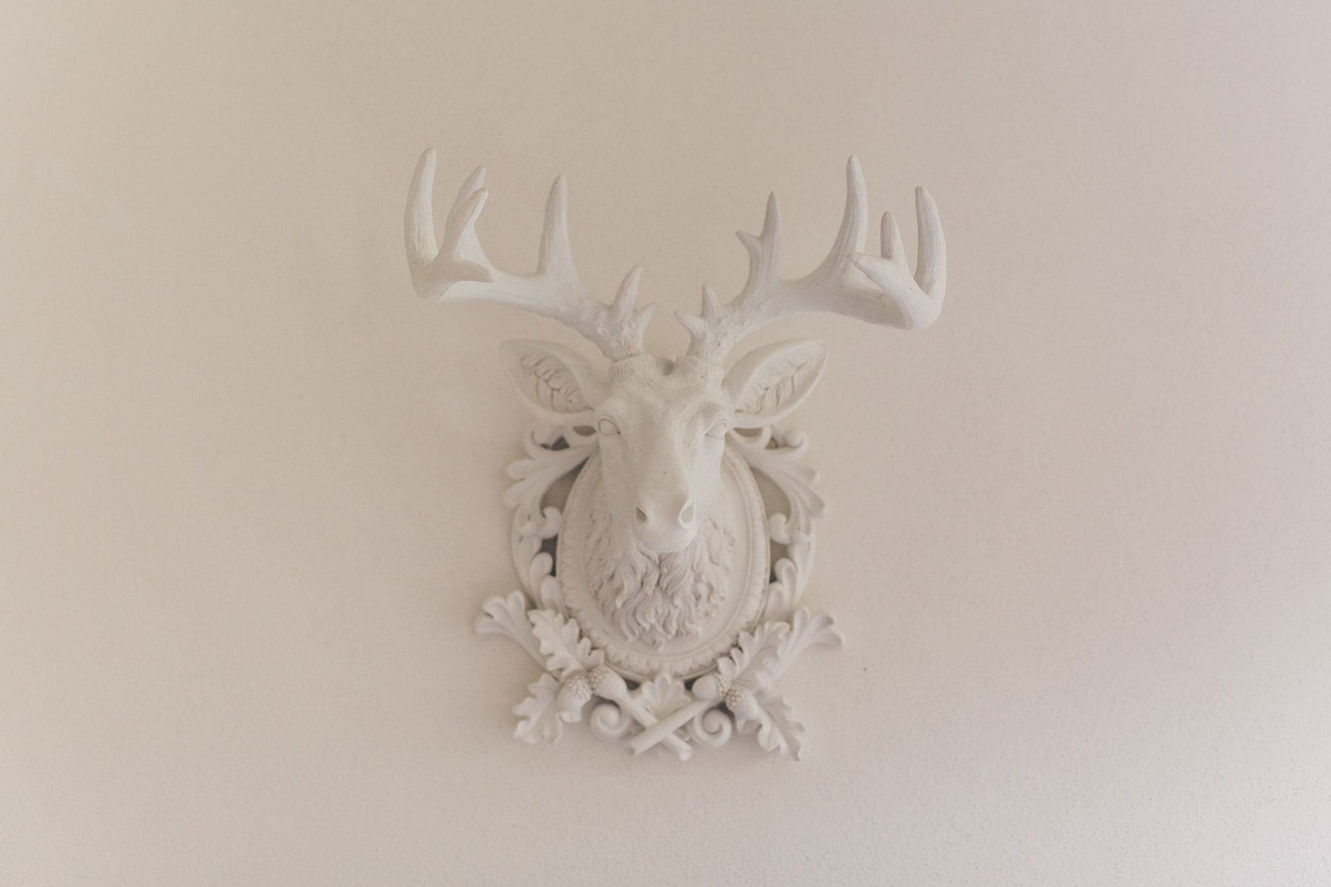 Braut Boudoir Session Fotografie mit Hund French Bulldog Frenchie Hochzeitsfotografie Brautrobe Lunga Sina Fischer