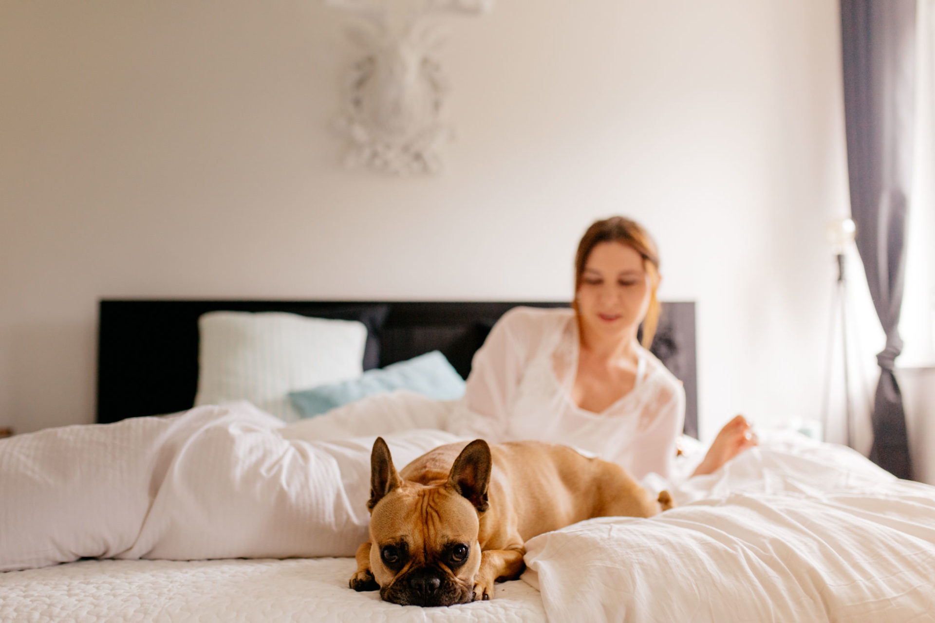 Braut Boudoir Session Fotografie mit Hund French Bulldog Frenchie Hochzeitsfotografie Brautrobe Lunga Sina Fischer