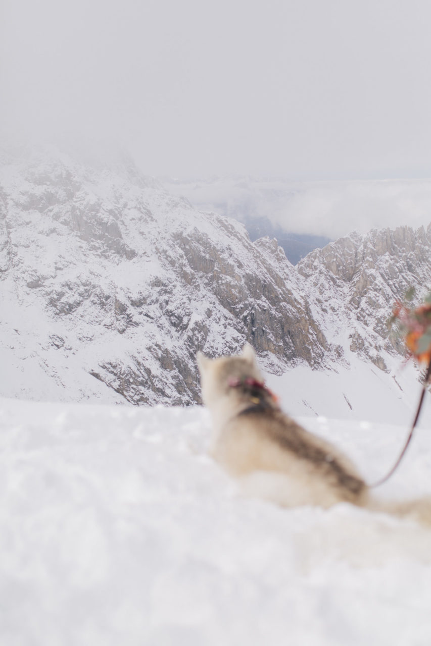 Hochzeitsfotografie Hafelekar Innsbruck Österreich Hochzeit Berge Inspiration Hund Winterhochzeit