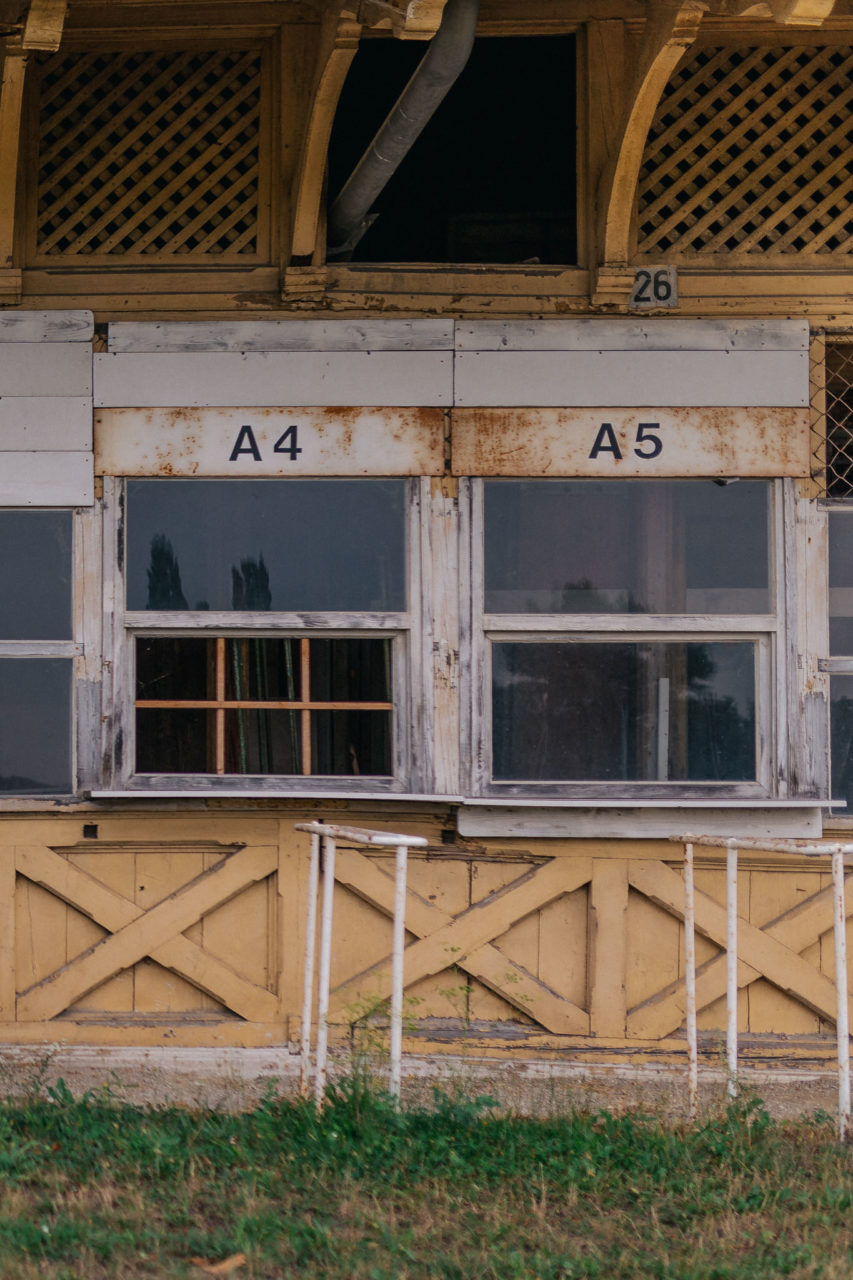 Paarshoot Wien authentische Hochzeitsfotografie