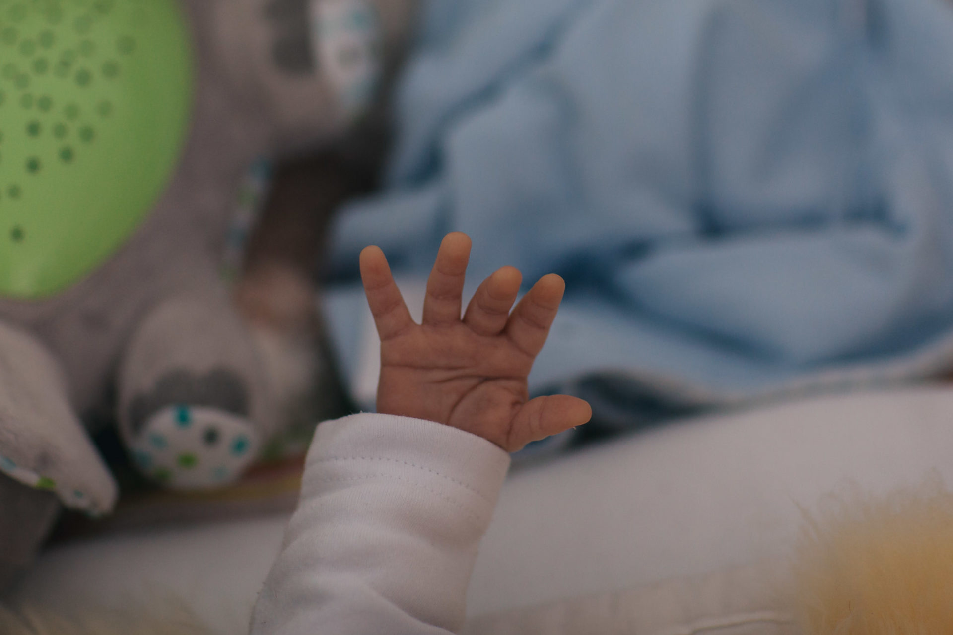 Neugeborene Fotograf Stuttgart Böblingen Babyfotos authentisch