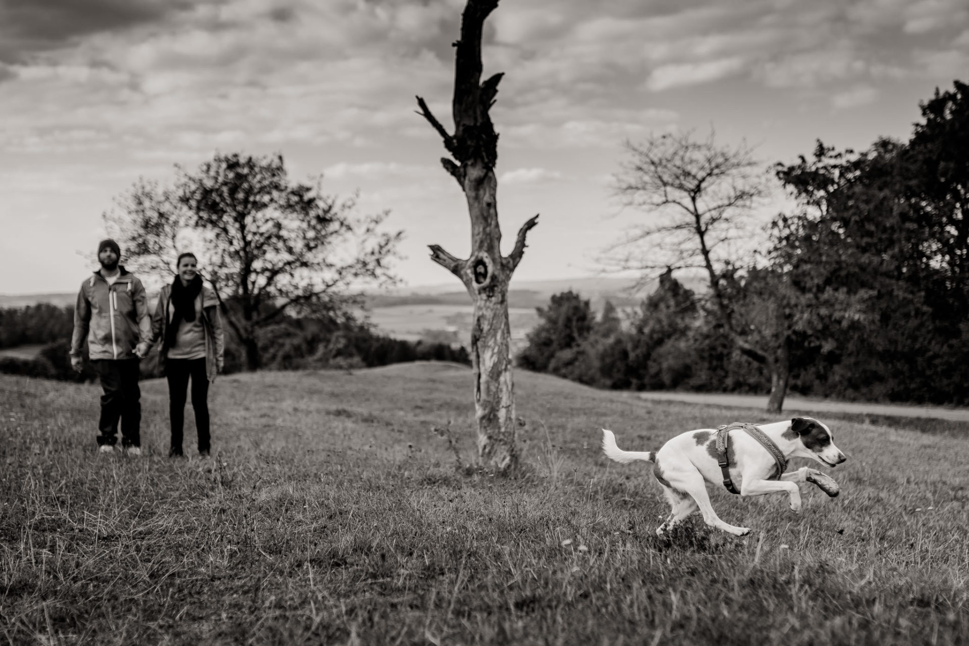 Hochzeitsfotografie Stuttgart-Verlobungsshooting Göppingen-paarshooting mit Hund-Heiraten Burg Staufeneck-Burghochzeit Schwarzwald-Elopement Deutschland-wandern Goeppingen