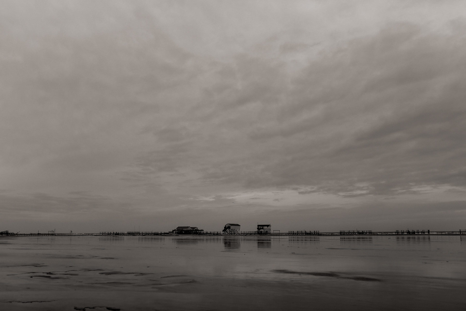 Urlaub mit Hund Sankt Peter Ording Beach Motel Strand Tierfotografie English Pointer