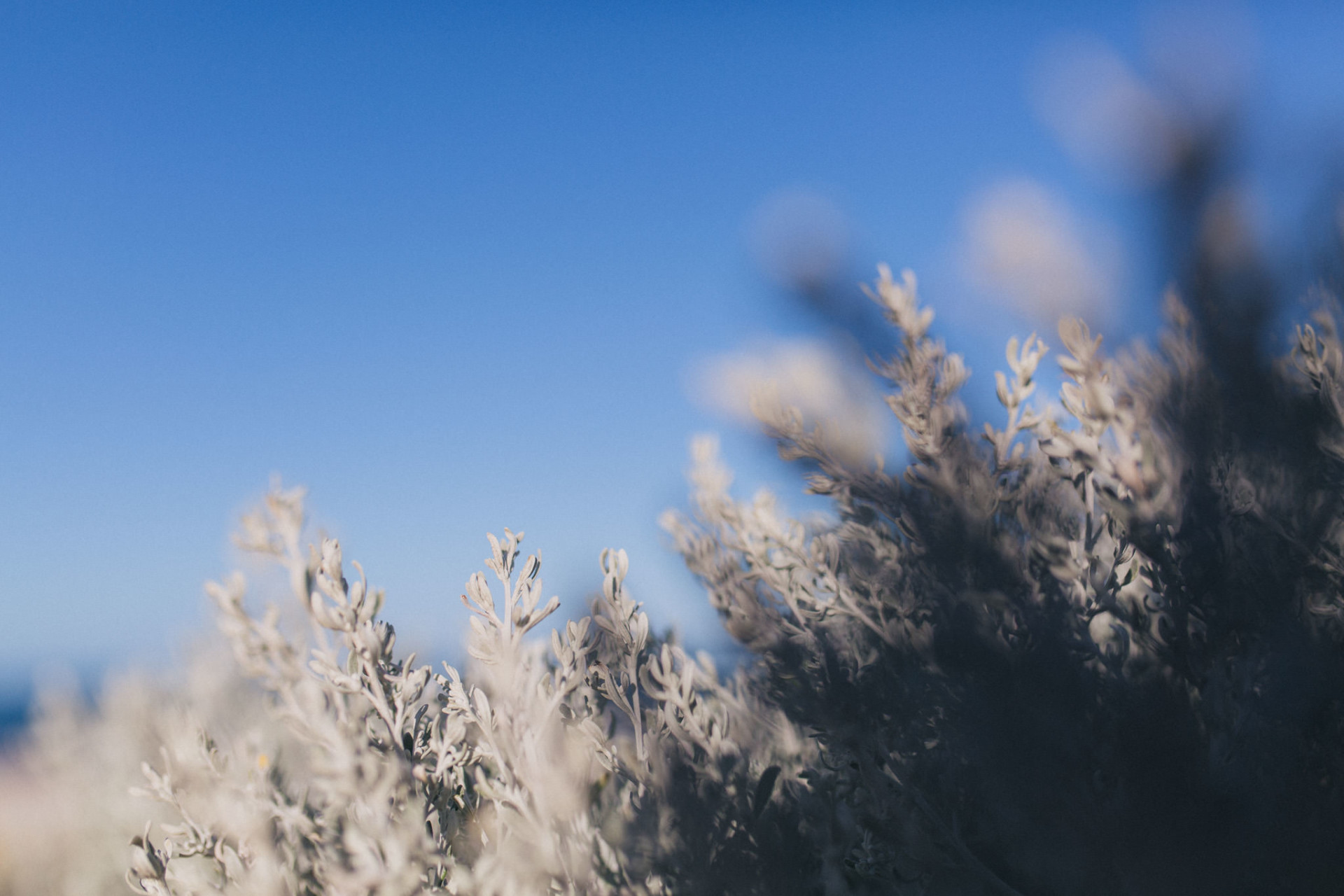 Wedding photographer perth-elopement australia-WA beach wedding WA-elfenkleid bridal gown-sunrise portrait