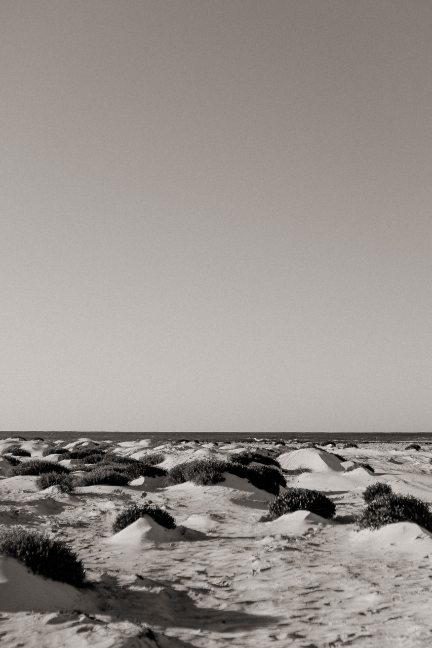 Wedding photographer perth-elopement australia-WA beach wedding WA-elfenkleid bridal gown-sunrise portrait