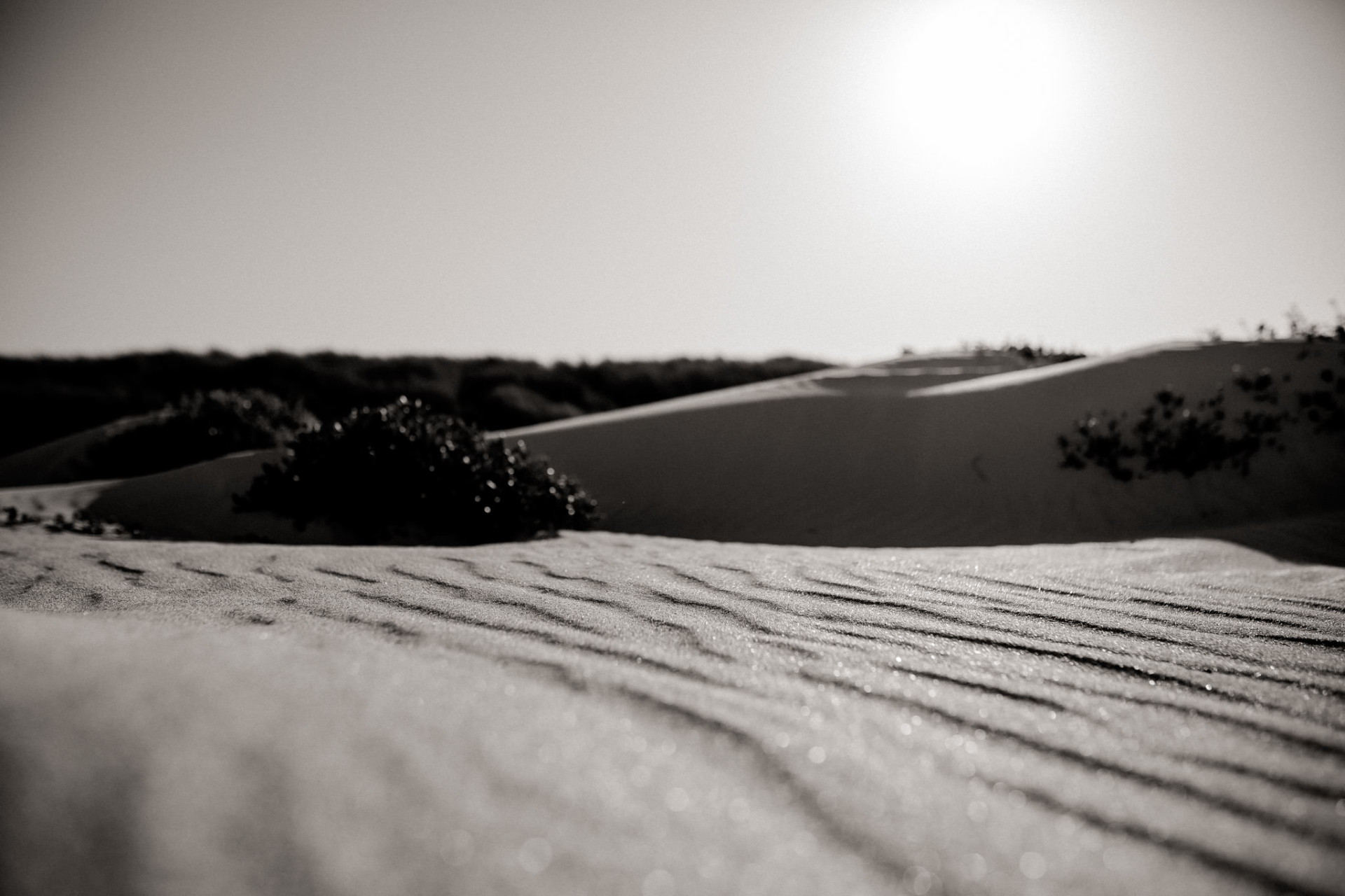 Wedding photographer perth-elopement australia-WA beach wedding WA-elfenkleid bridal gown-sunrise portrait