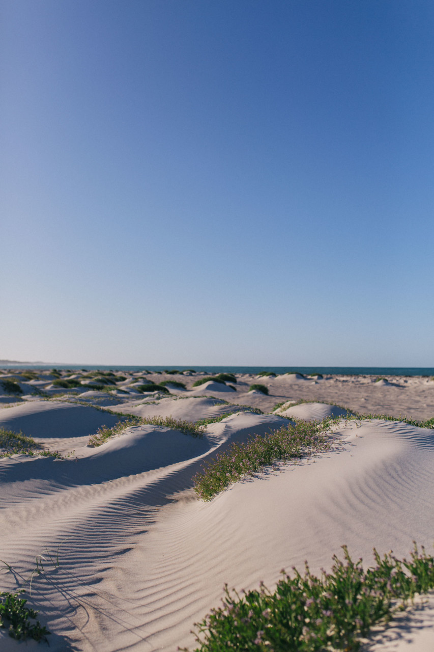 Wedding photographer perth-elopement australia-WA beach wedding WA-elfenkleid bridal gown-sunrise portrait