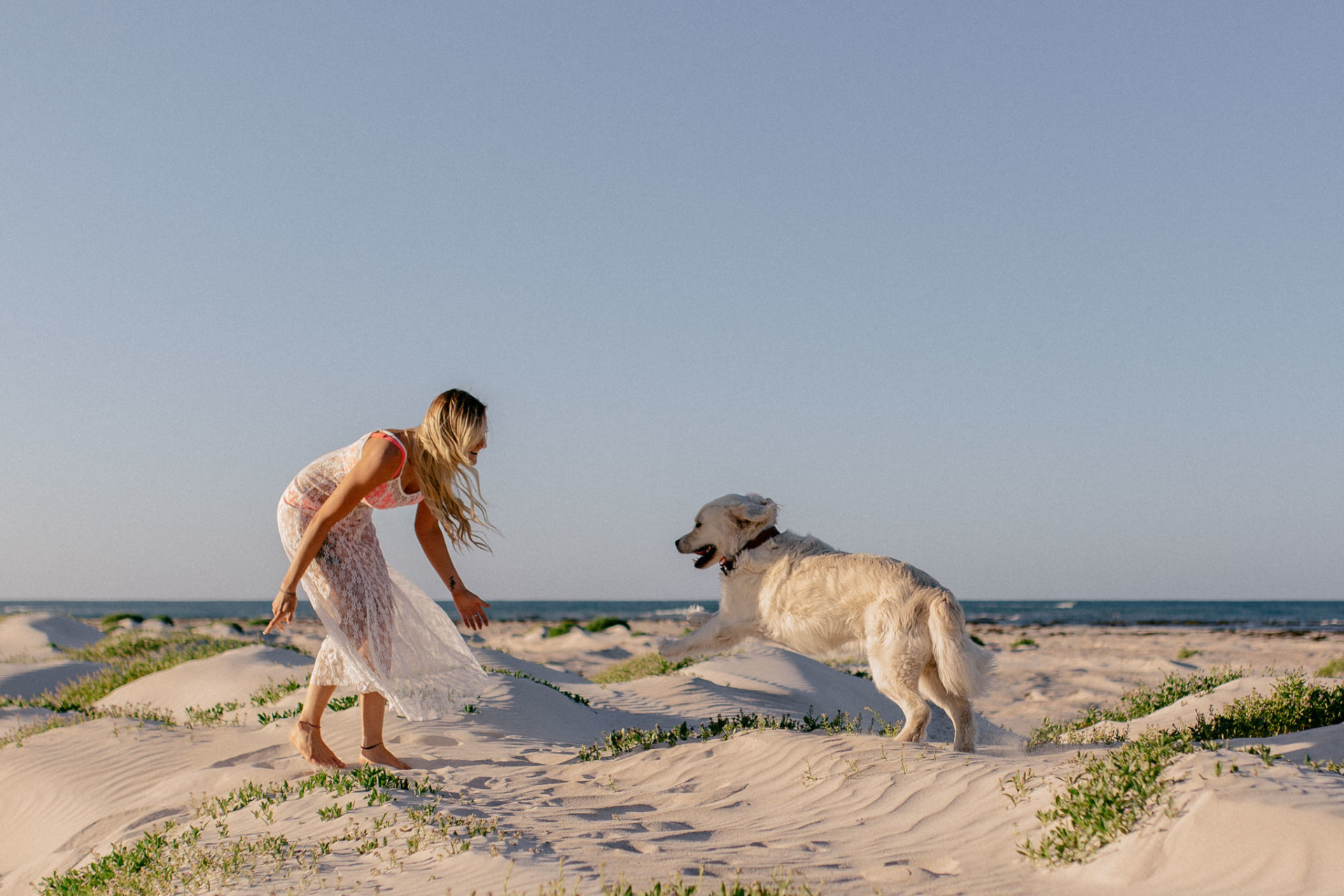 dog photographer perth-beach walk-dog beach WA-road trip with dogs-golden retriever-a girls best friend
