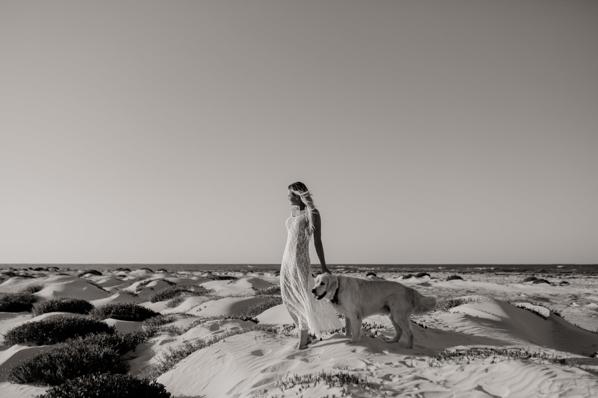 dog photographer perth-beach walk-dog beach WA-road trip with dogs-golden retriever-a girls best friend
