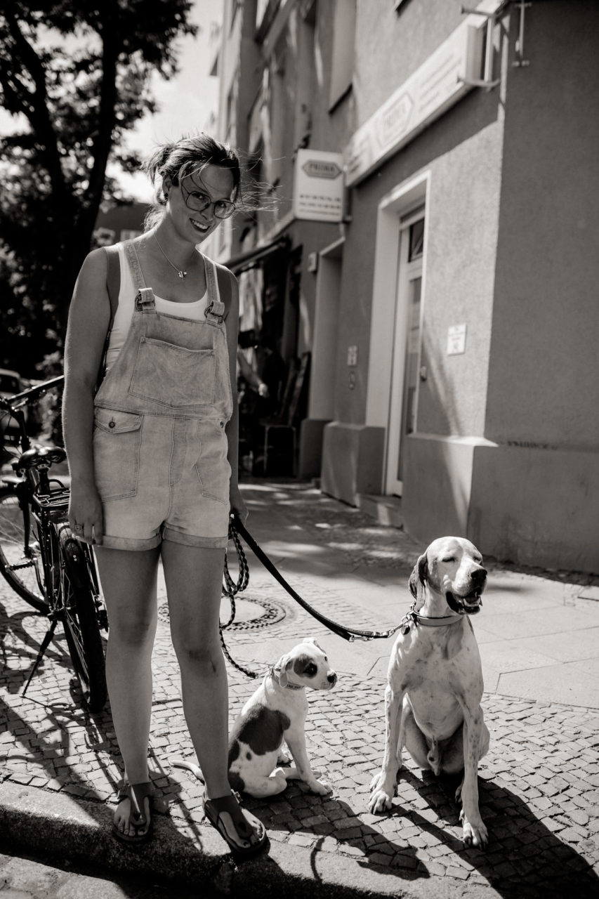 dog photographer berlin-american bulldog puppy-pet photographer-natural dog portrait-berlin with dogs-roamers coffee