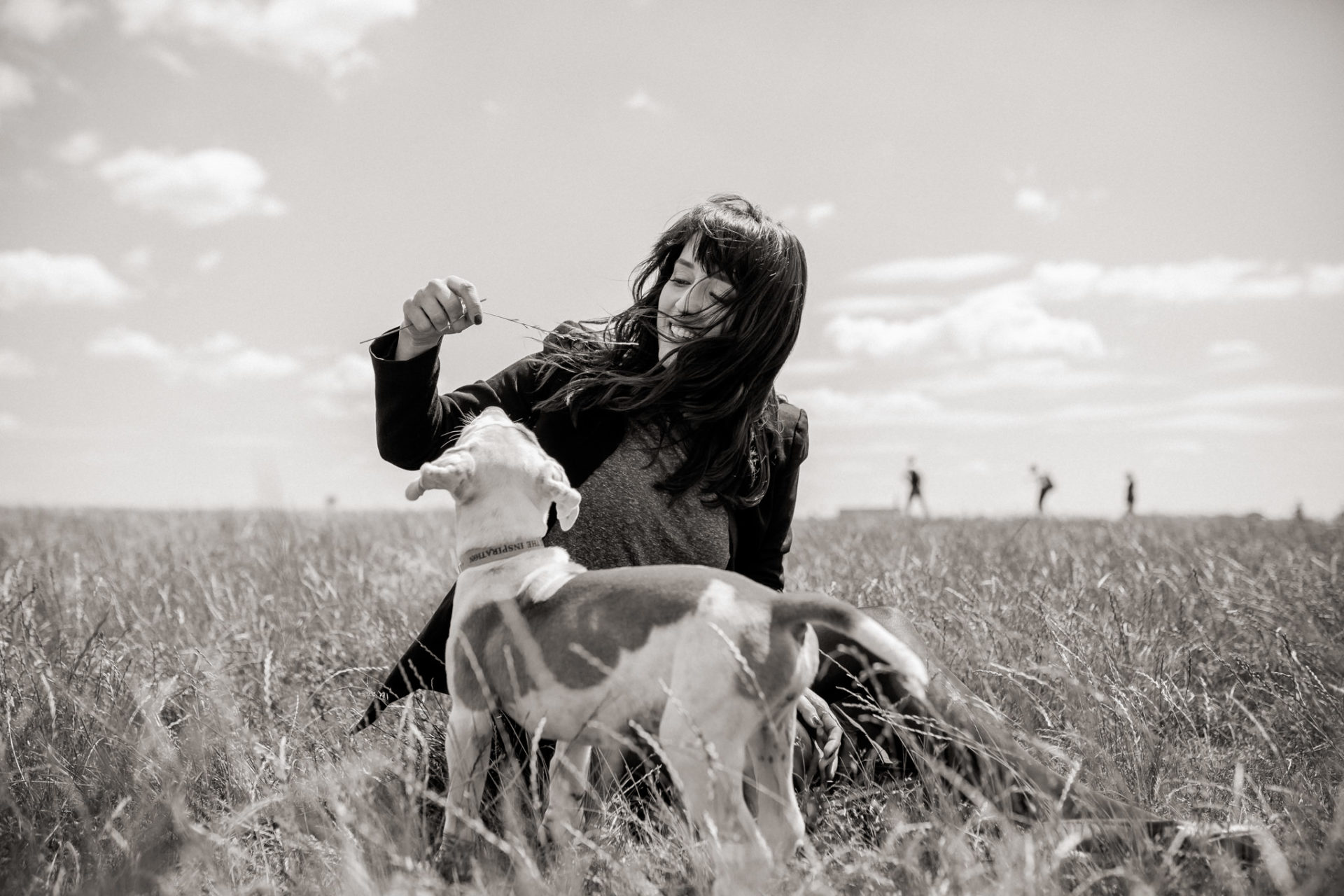dog photographer berlin-american bulldog puppy-pet photographer-natural dog portrait-tempelhofer feld dogs play