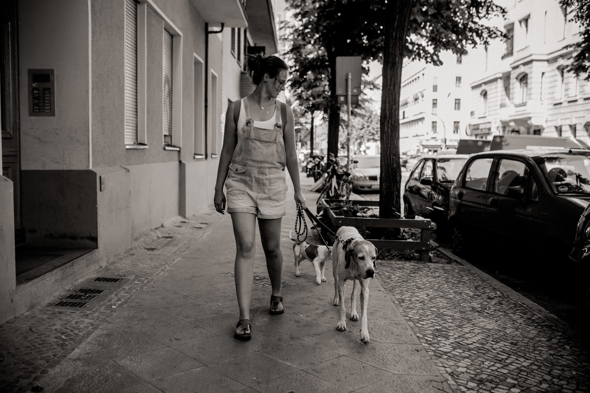 dog photographer berlin-american bulldog puppy-pet photographer-natural dog portrait-berlin with dogs-roamers coffee