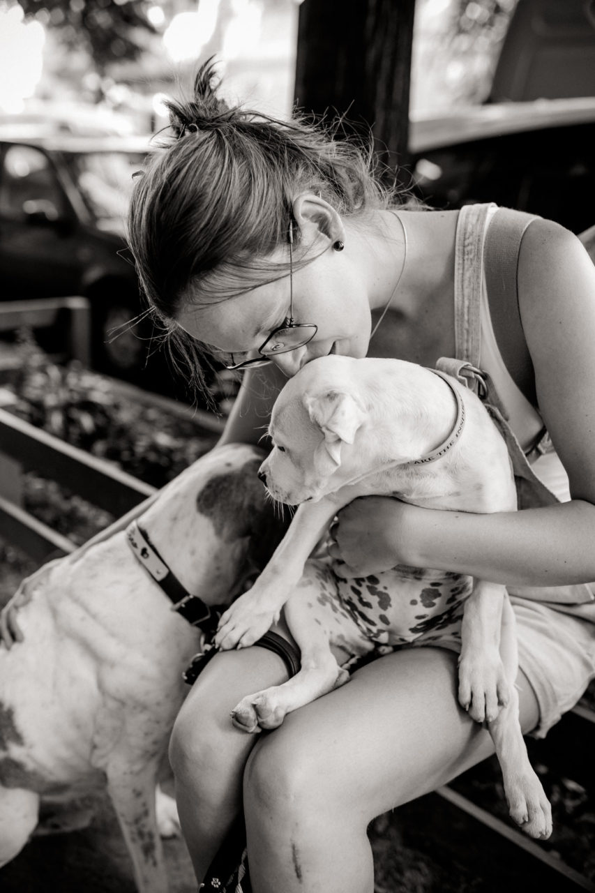 dog photographer berlin-american bulldog puppy-pet photographer-natural dog portrait-berlin with dogs-roamers coffee