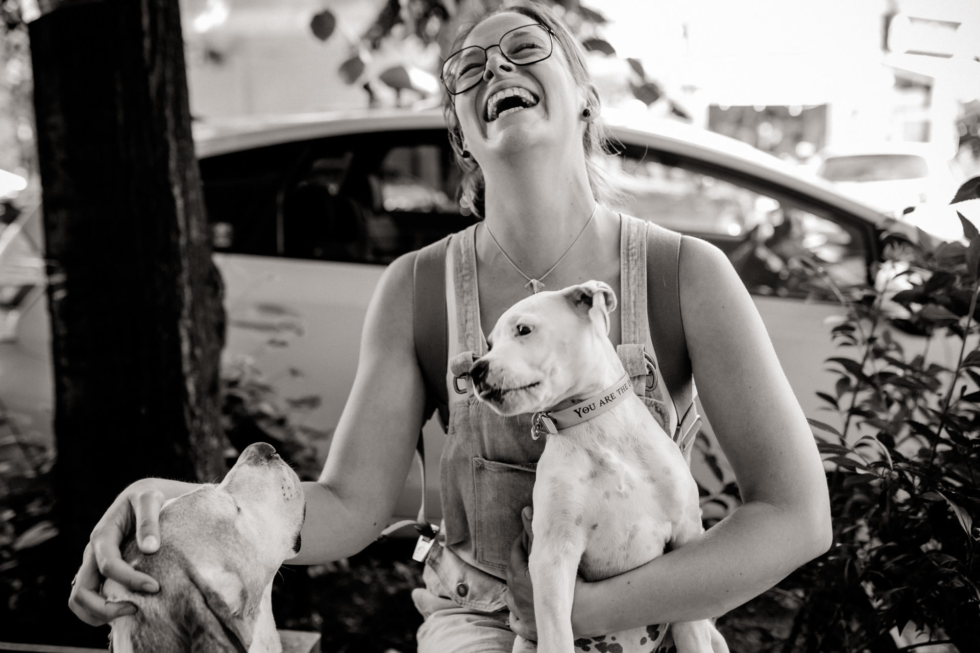 dog photographer berlin-american bulldog puppy-pet photographer-natural dog portrait-berlin with dogs-roamers coffee