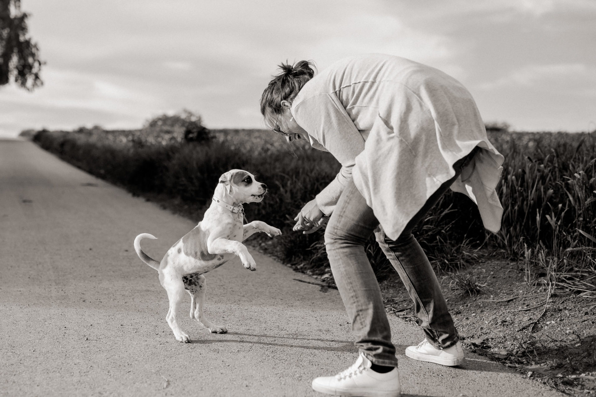 hundefotograf stuttgart-haustierportraits-ungestellte tierfotos-hundefotos in natur-familienhund-welpentraining-stubenrein