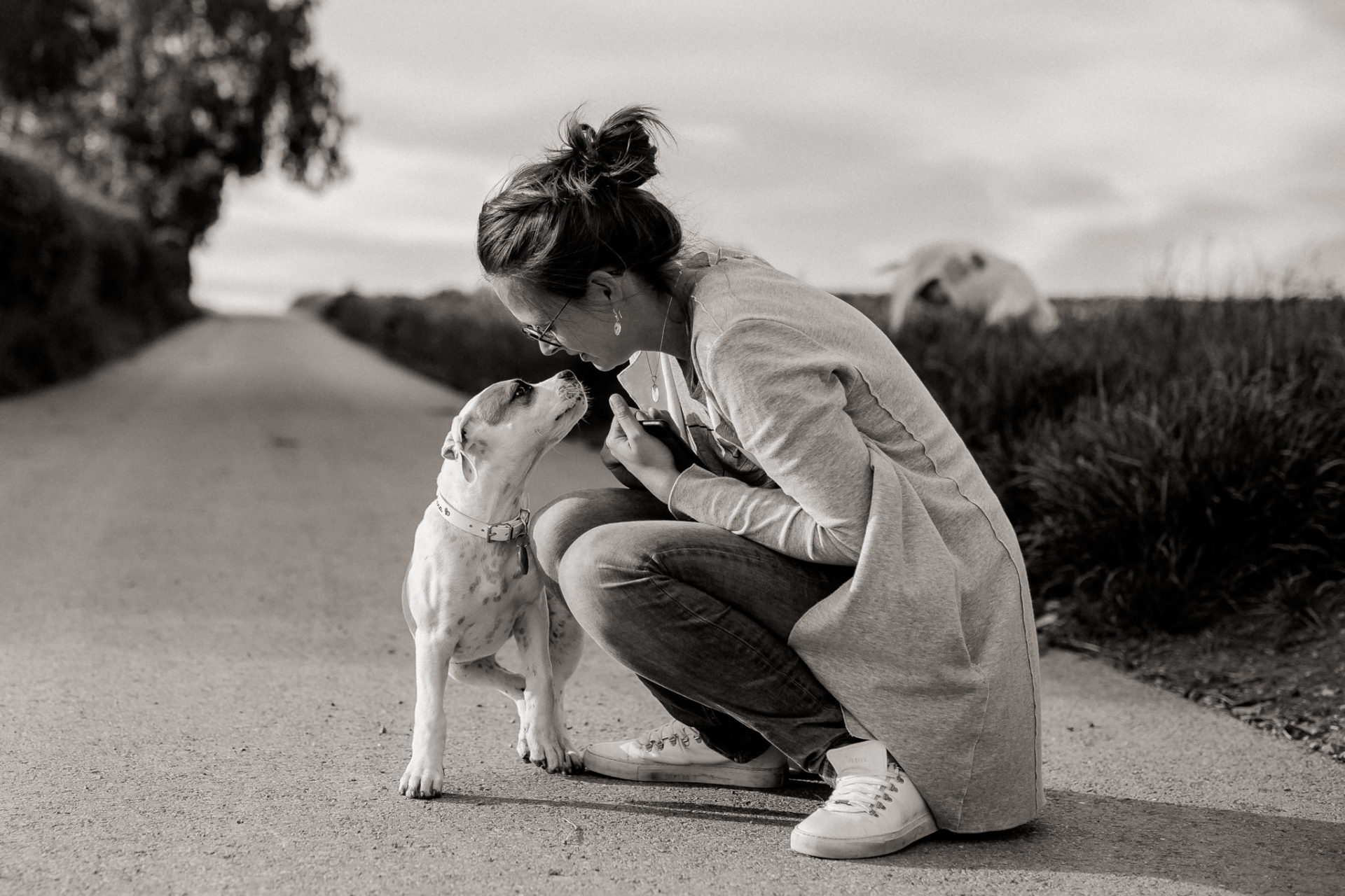 hundefotograf stuttgart-haustierportraits-ungestellte tierfotos-hundefotos in natur-familienhund-welpentraining-haustier portrait