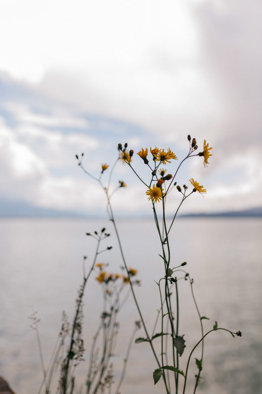 Hochzeitsfotograf Österreich-Bodensee Verlobungsbilder-Lindau Paarshooting-ungestellte portraits-kreative Hochzeitsreportagen-Bodenseehochzeit