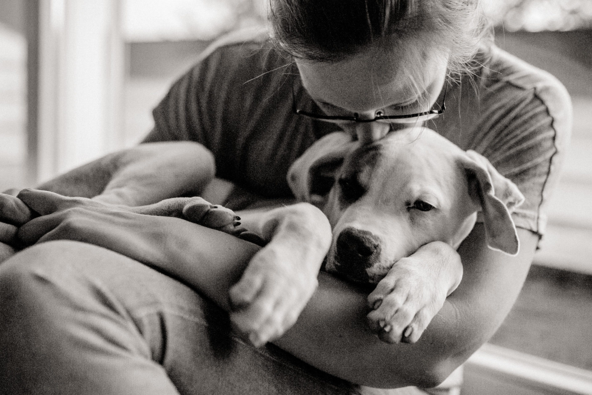 Tierfotograf Stuttgart-Hundefotos-3