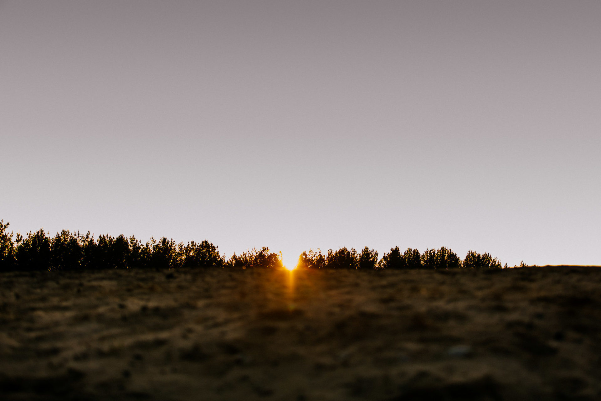 Berliner Umland - see-sanddünen-ausflug-naherholung-schwimmen mit hund-badesee-baggersee-berlin mit Vierbeiner