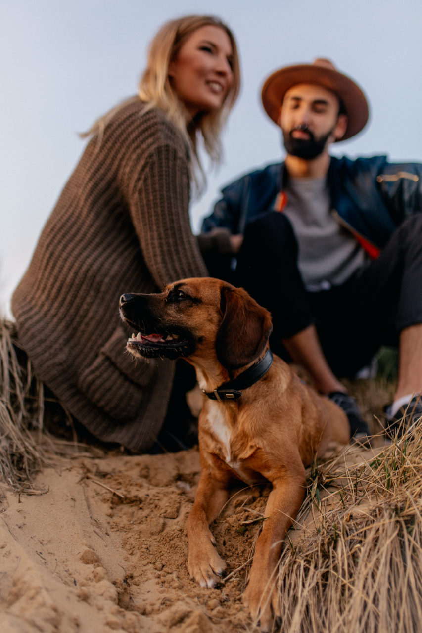Verlobungsbilder-Hochzeitsfotograf Berlin-Paarshooting am See-Berliner Hipster Liebe-Hundefamilie-Dackel Mischling-Cookie Dog