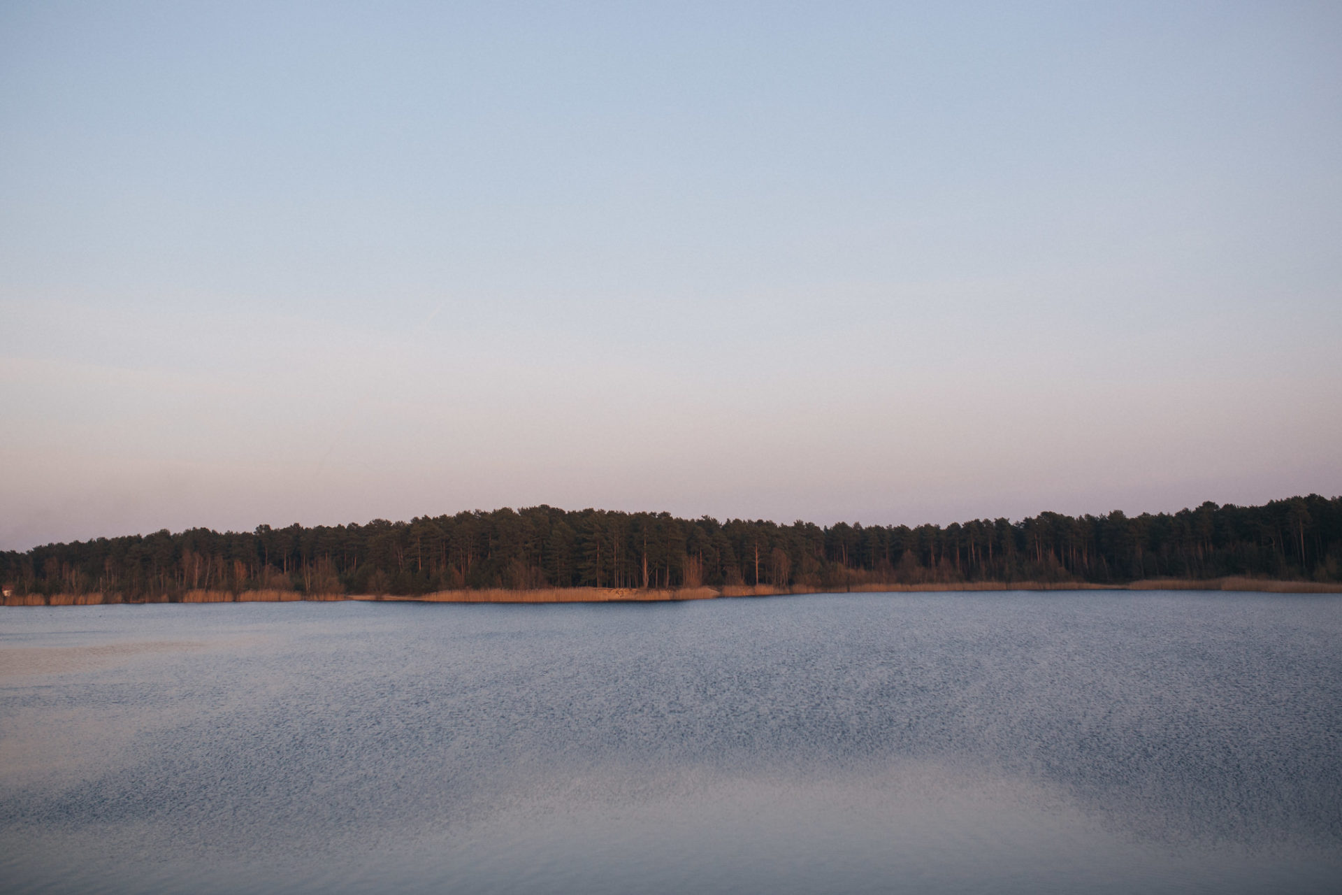 berlin mit Hund-Schwimmen am See-Sanddünen-erholung