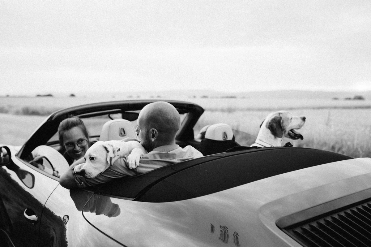 cabrio-4 dog photographer stuttgart-pets portraits-natural animal photos-Porsche 911 dog-family photo car